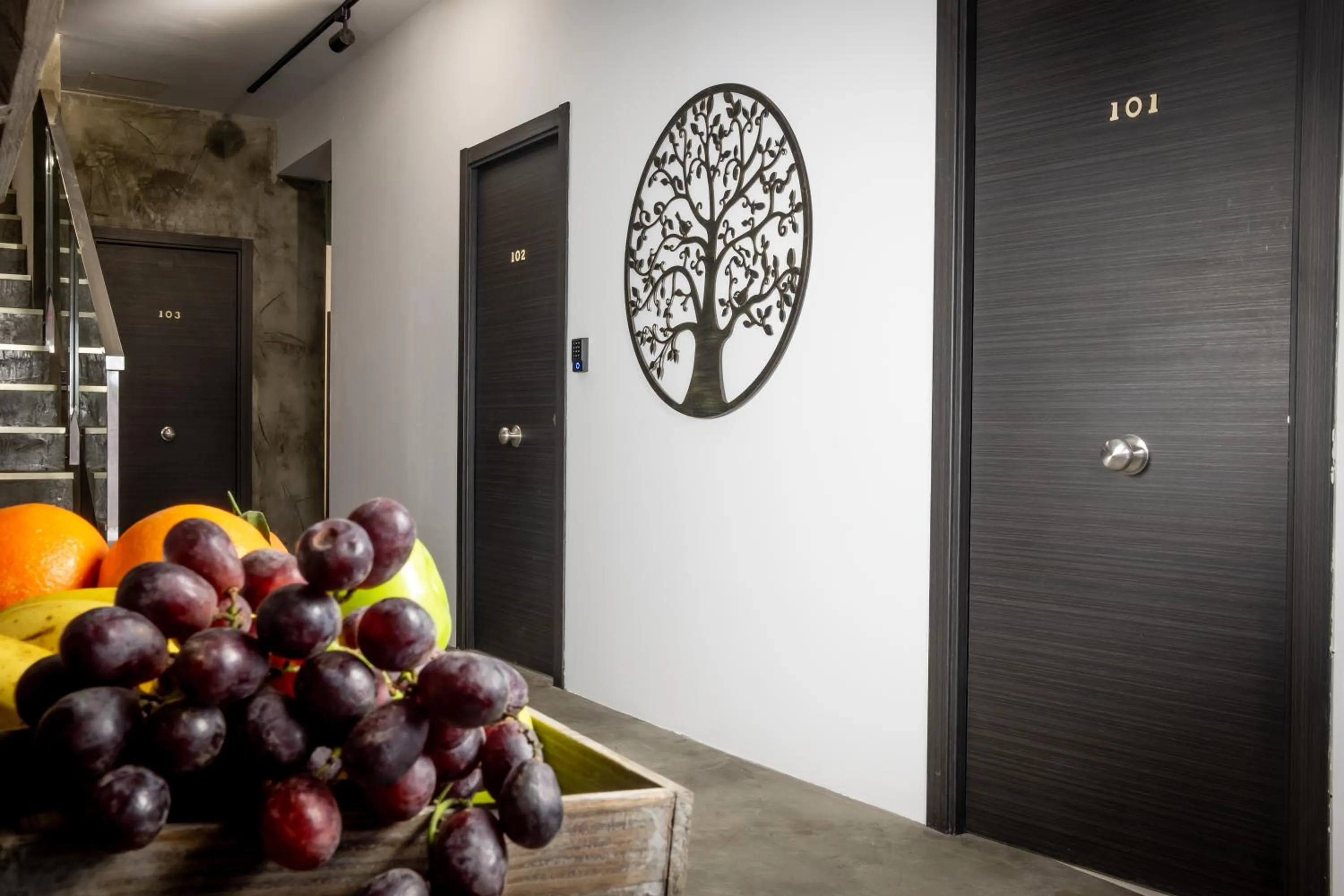 Area and facilities in Boutique X Pueblo, Benalmádena