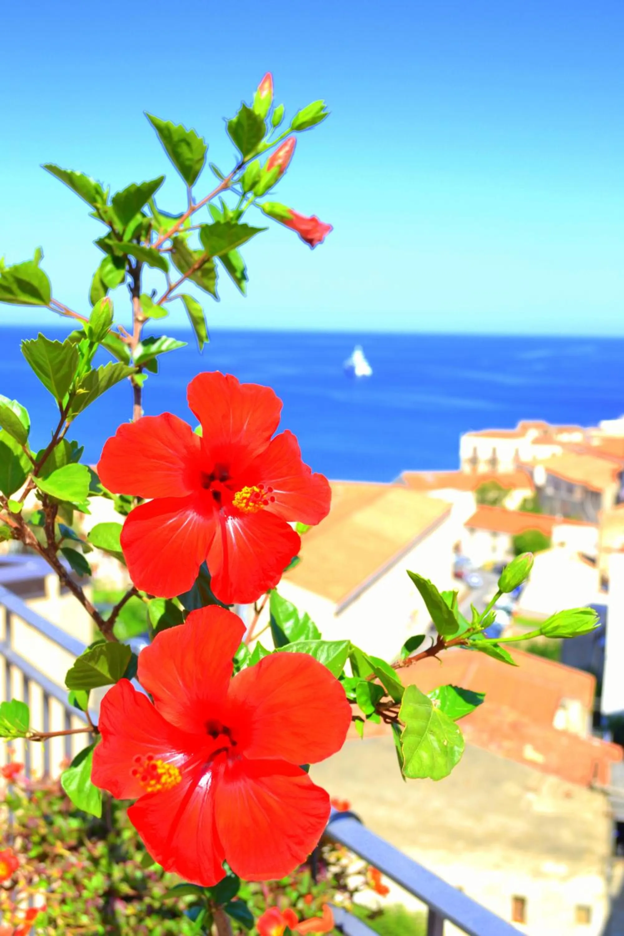 City view in Scirocco