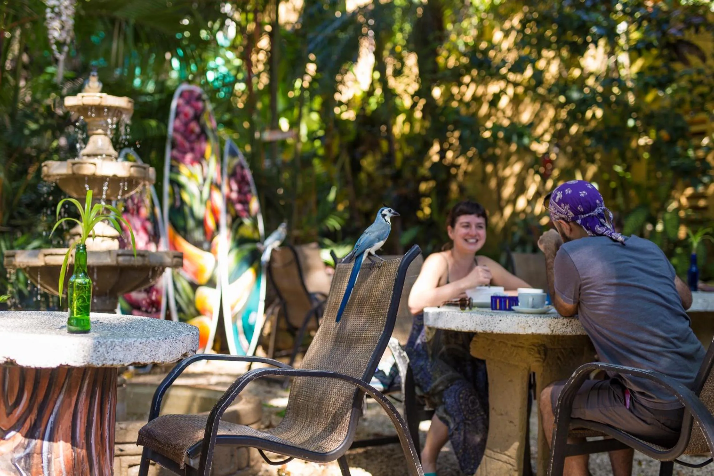 Restaurant/places to eat in El Sano Banano Beachside Hotel