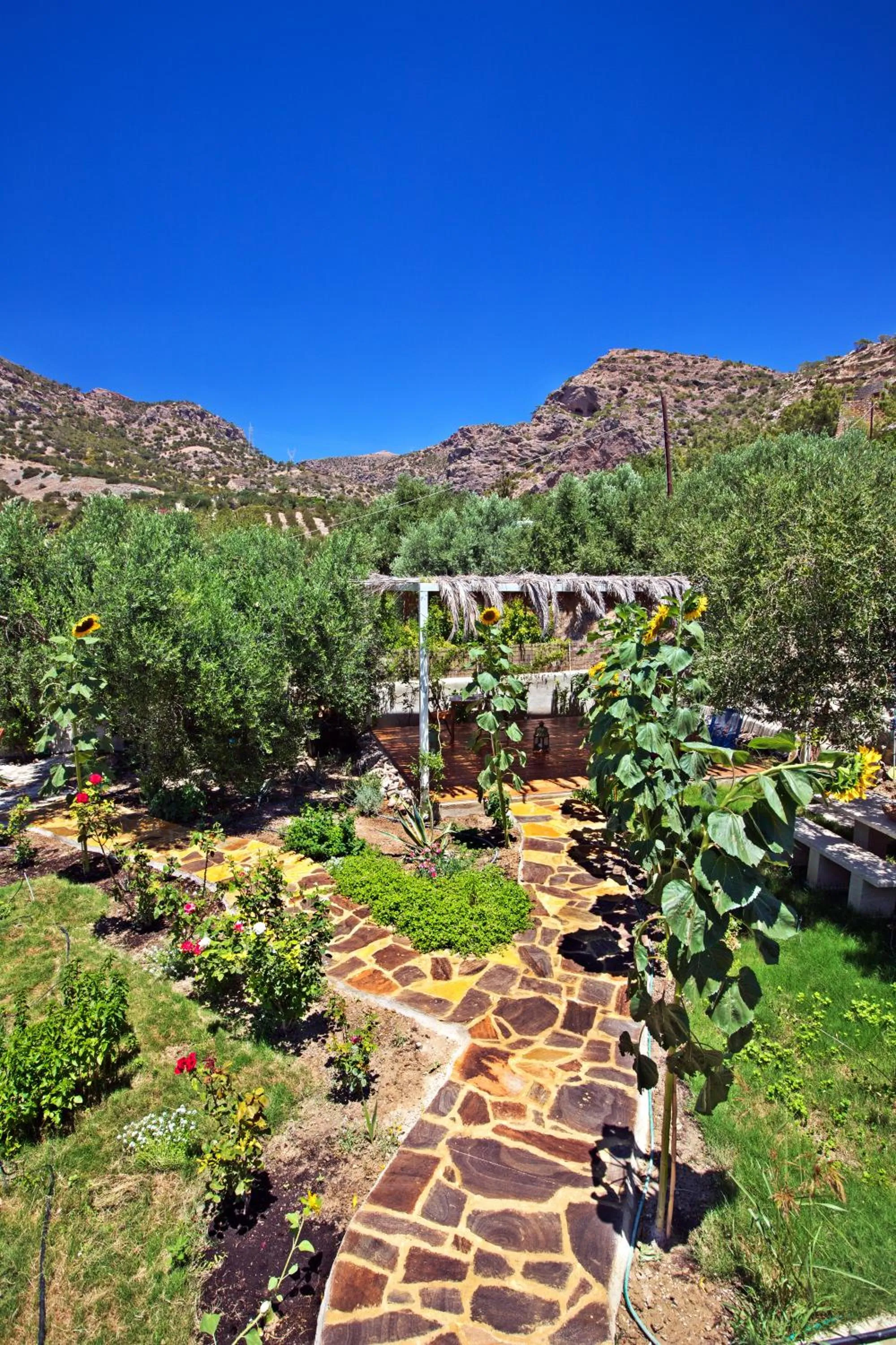 Day in Natura cottages