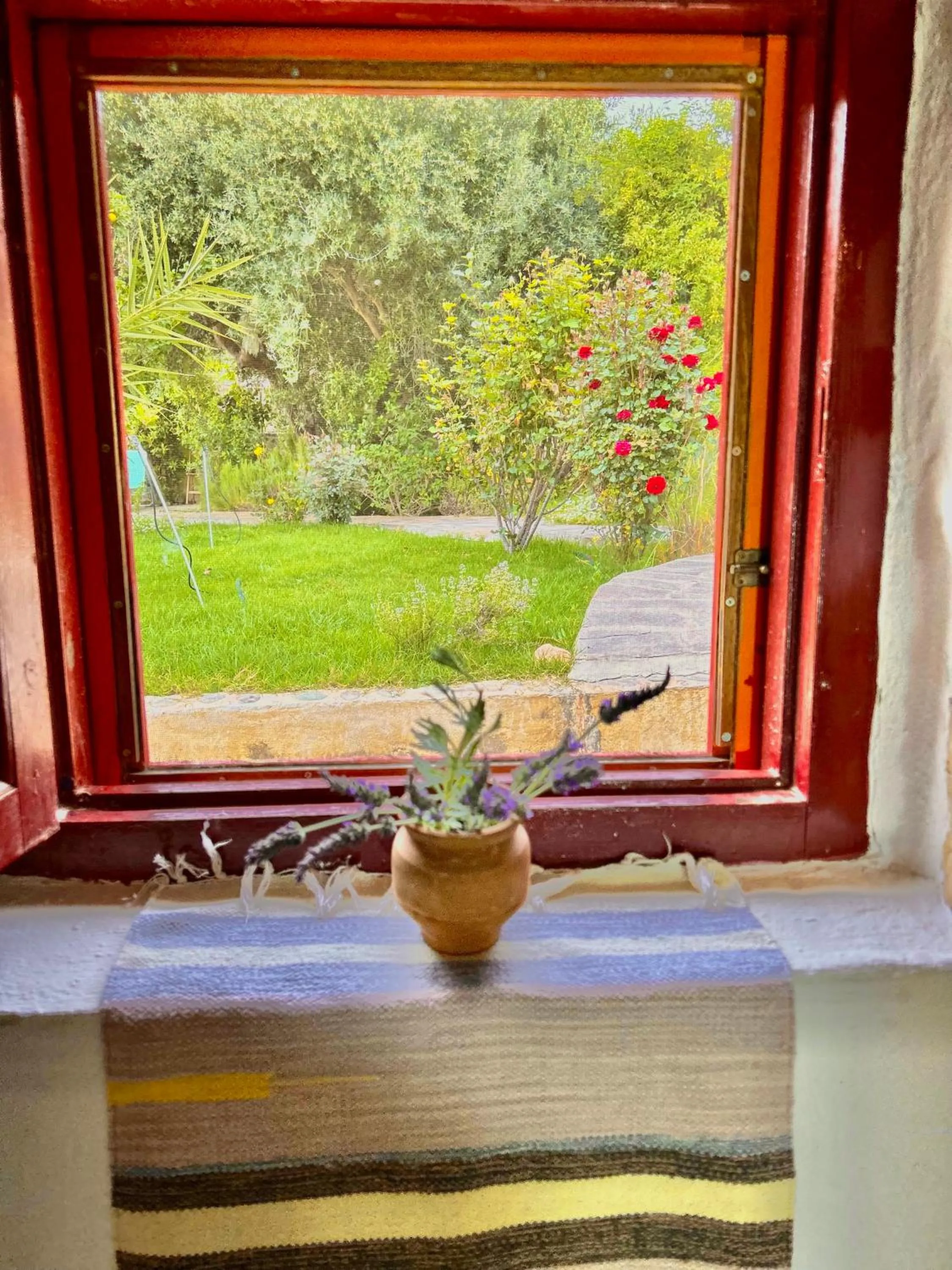 Garden in Natura cottages