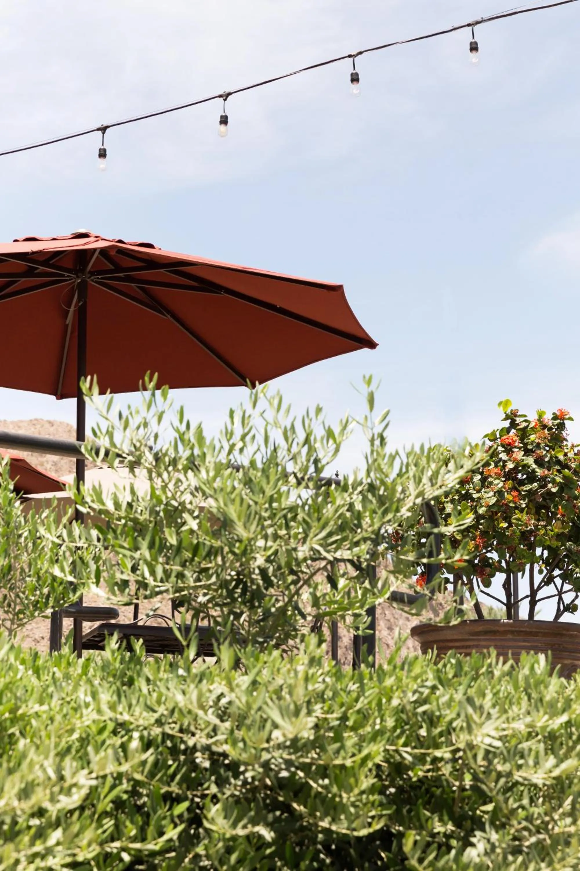 The Chateau at Lake La Quinta