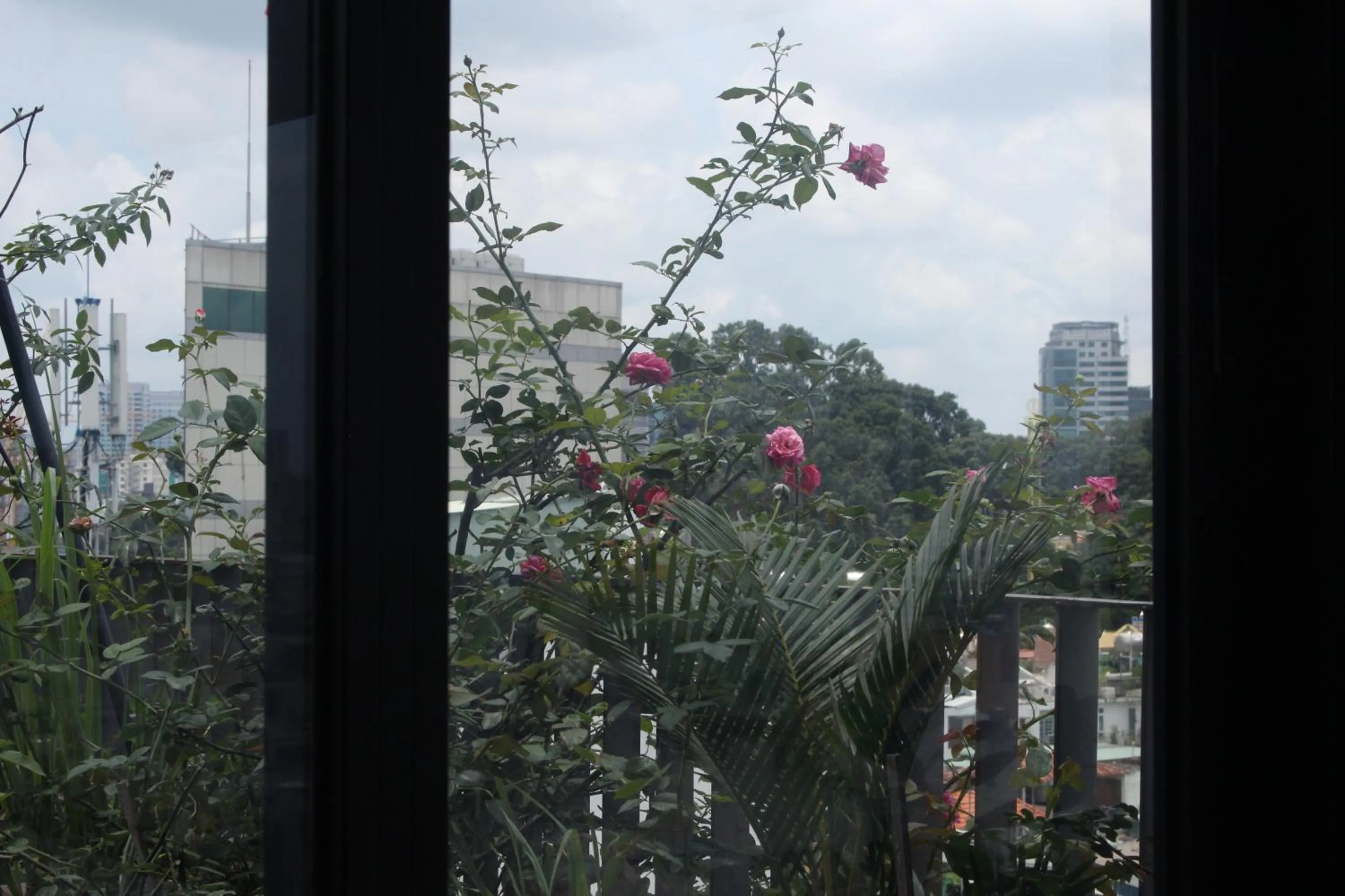 Spring in The Bloom Pham Viet Chanh - Modern Living Space in Saigon - A Top Choice for Western Travelers