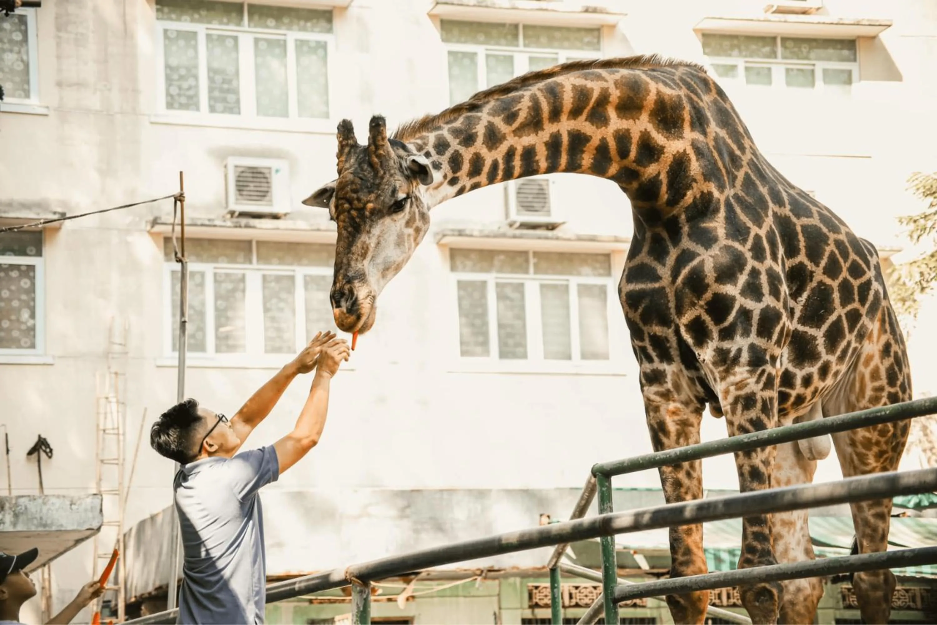 The Bloom Pham Viet Chanh - Modern Living Space in Saigon - A Top Choice for Western Travelers