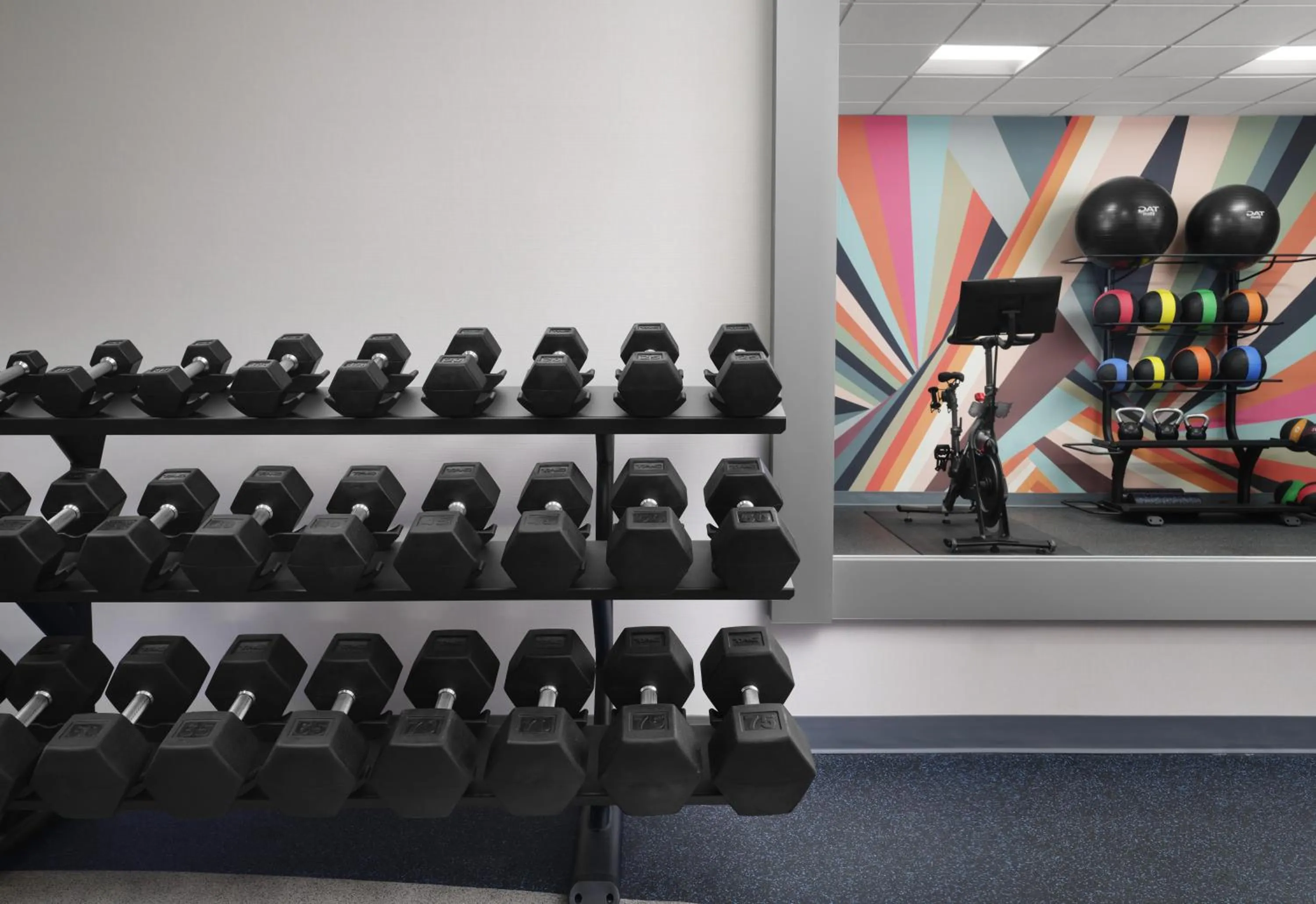 Fitness centre/facilities in Hilton Garden Inn Tampa East Brandon