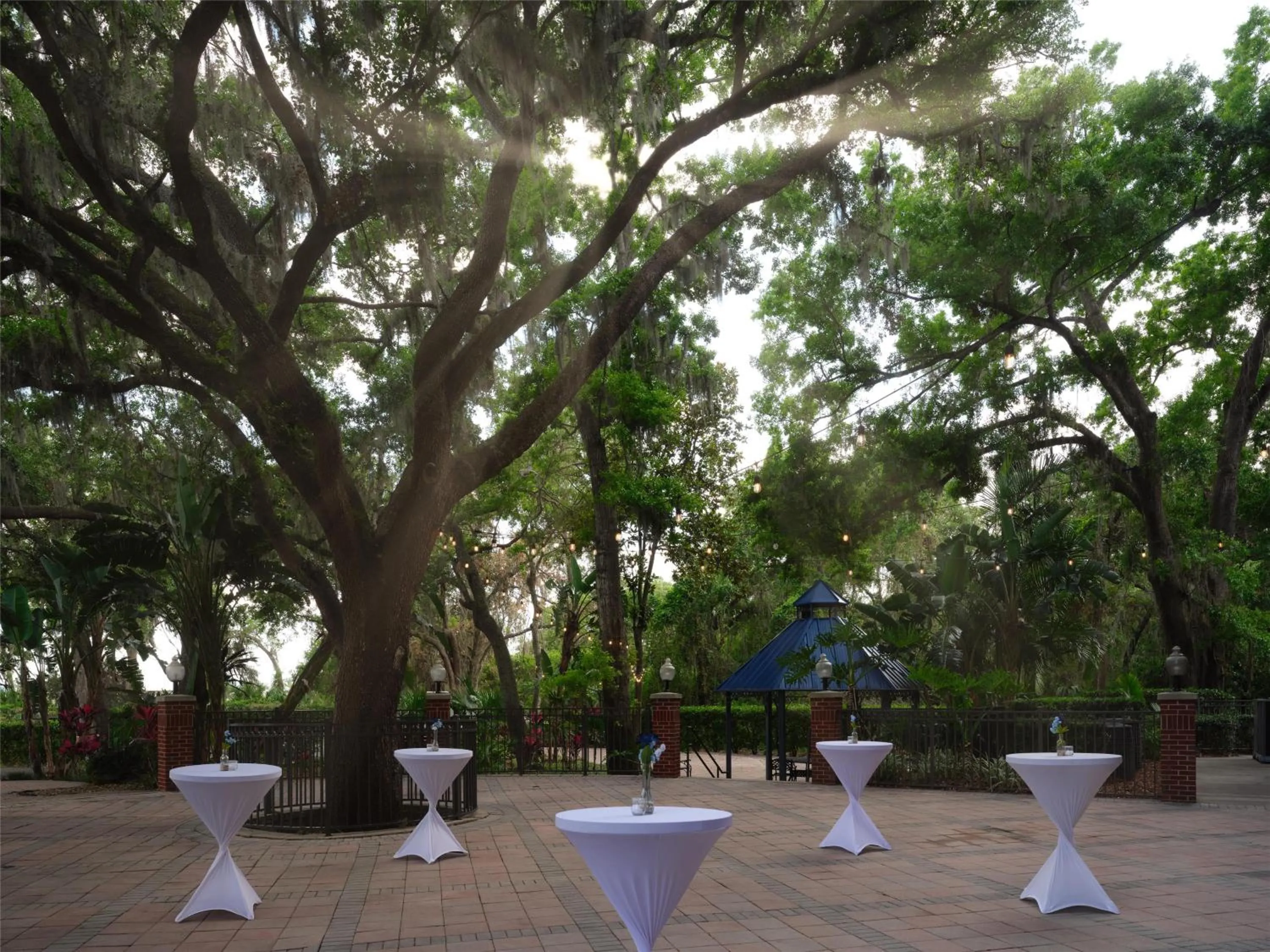 Patio in Hilton Garden Inn Tampa East Brandon