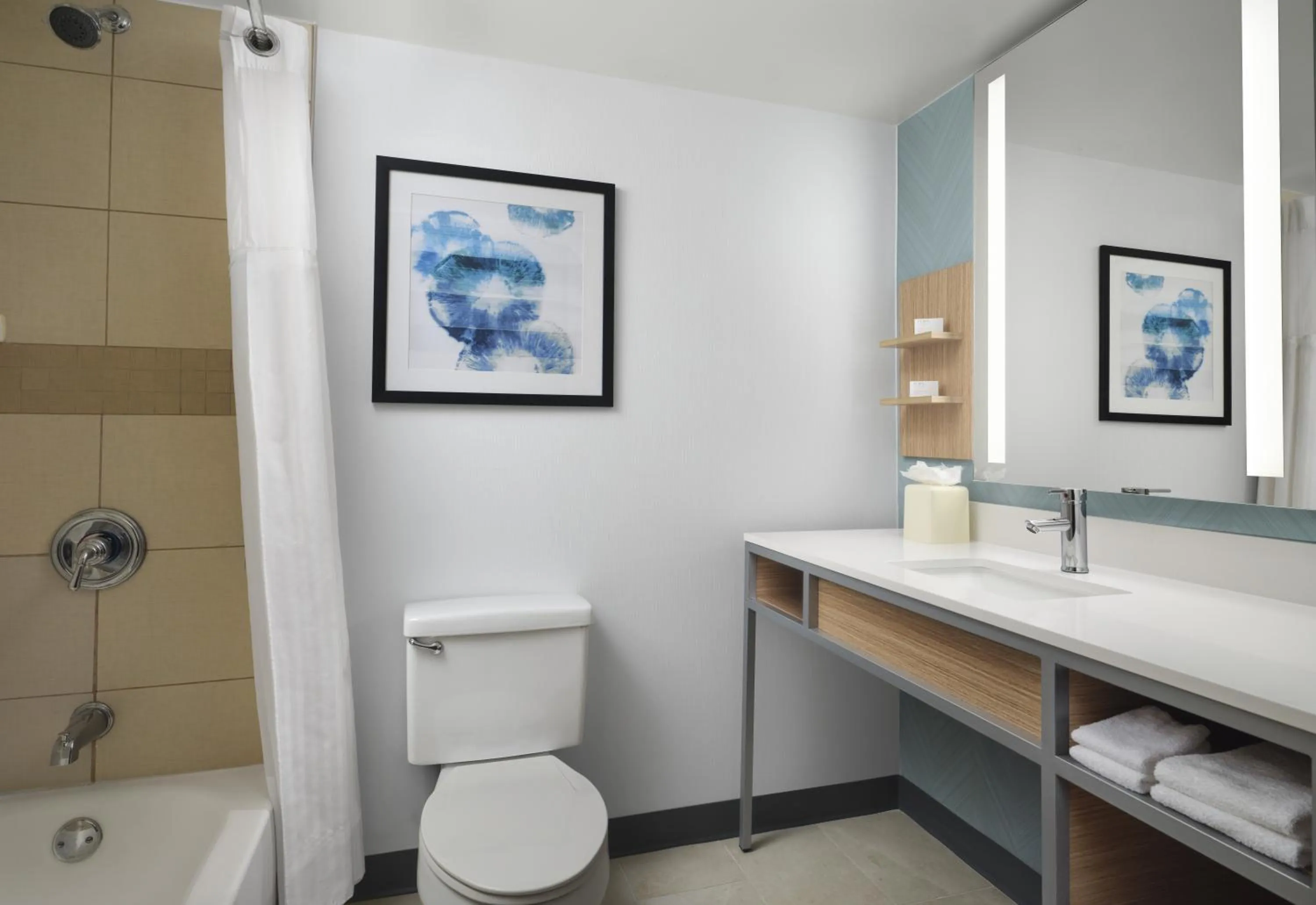 Bathroom in Hilton Garden Inn Tampa East Brandon