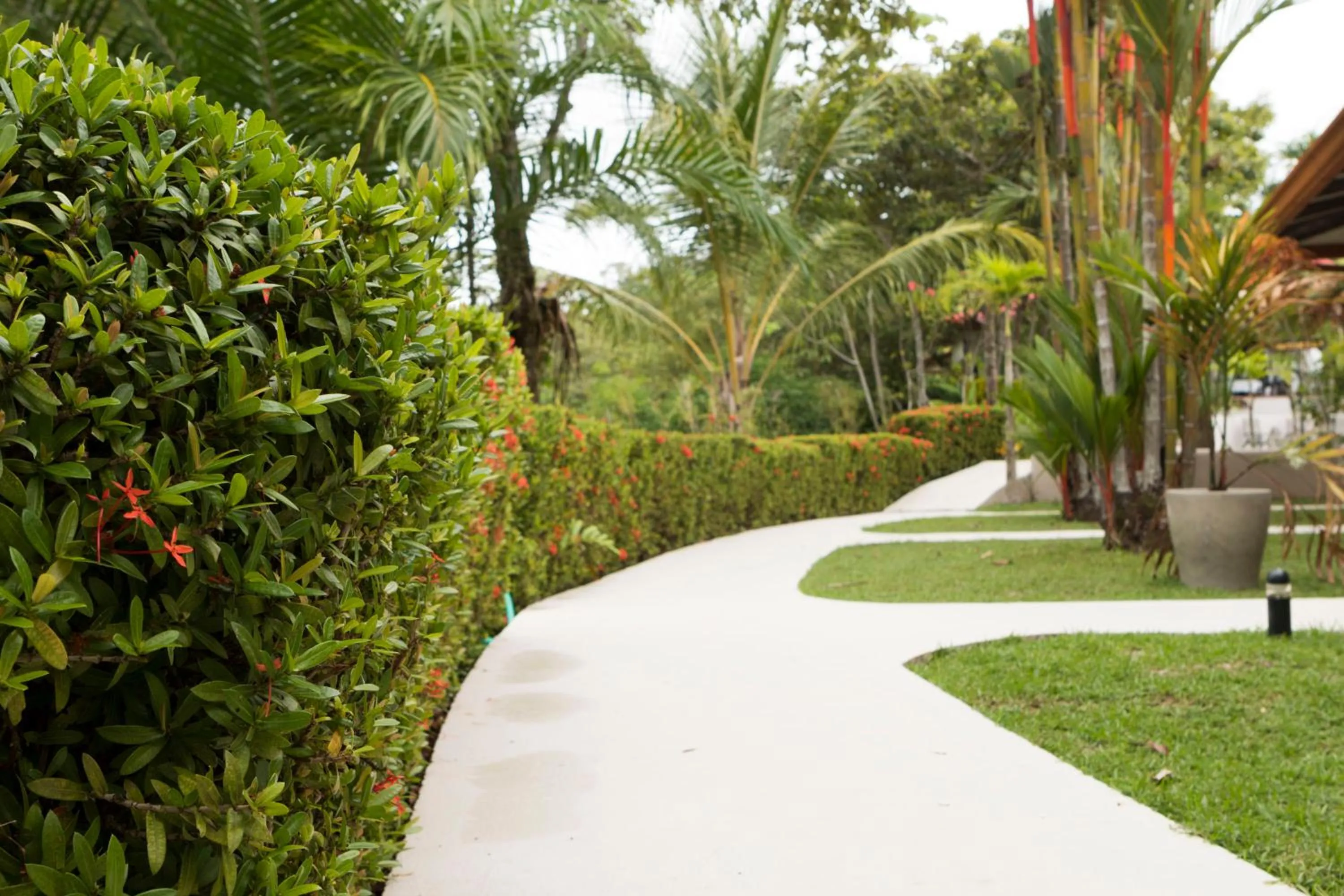 Garden in Alma de Ojochal