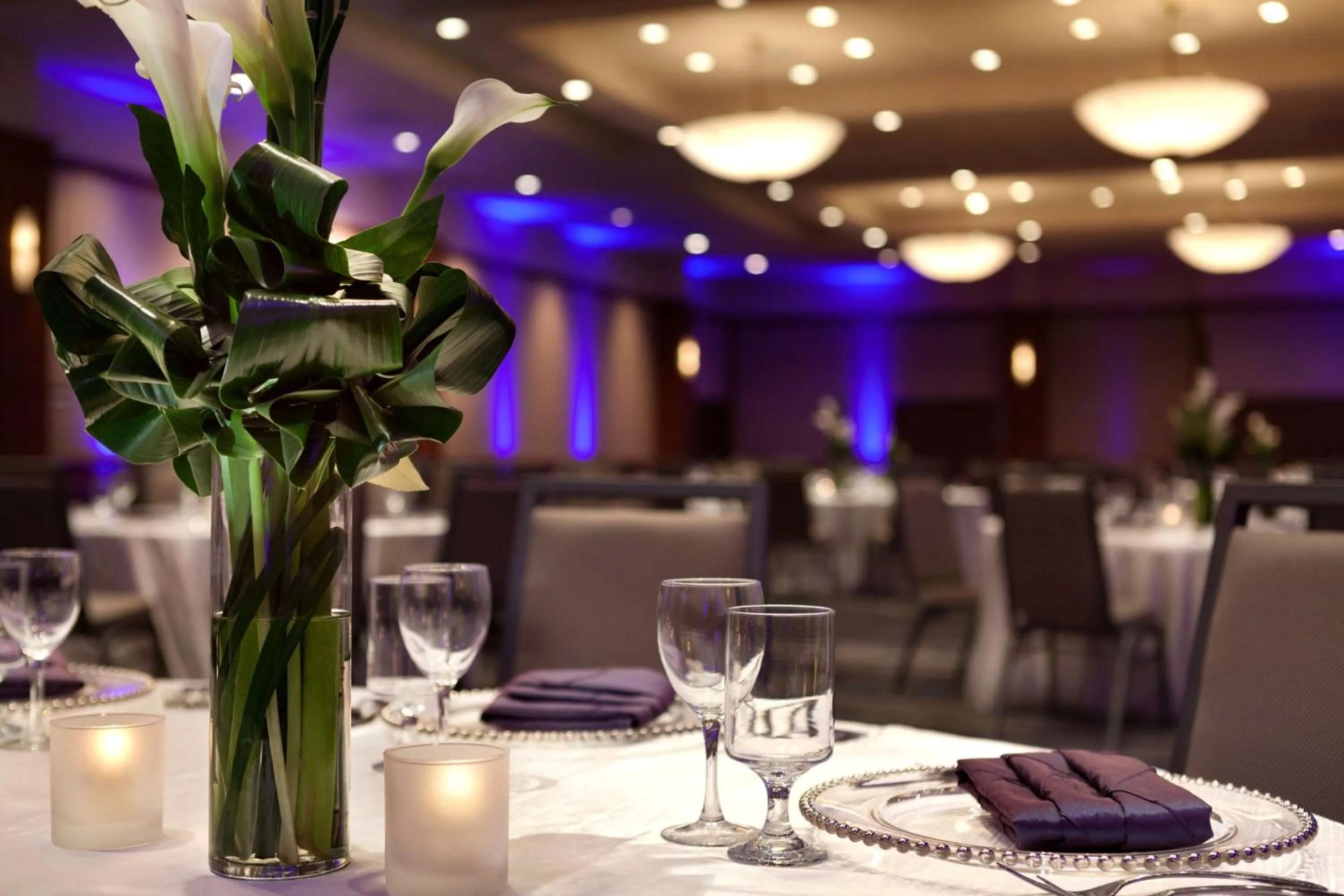 Meeting/conference room in DoubleTree by Hilton Minneapolis Park Place