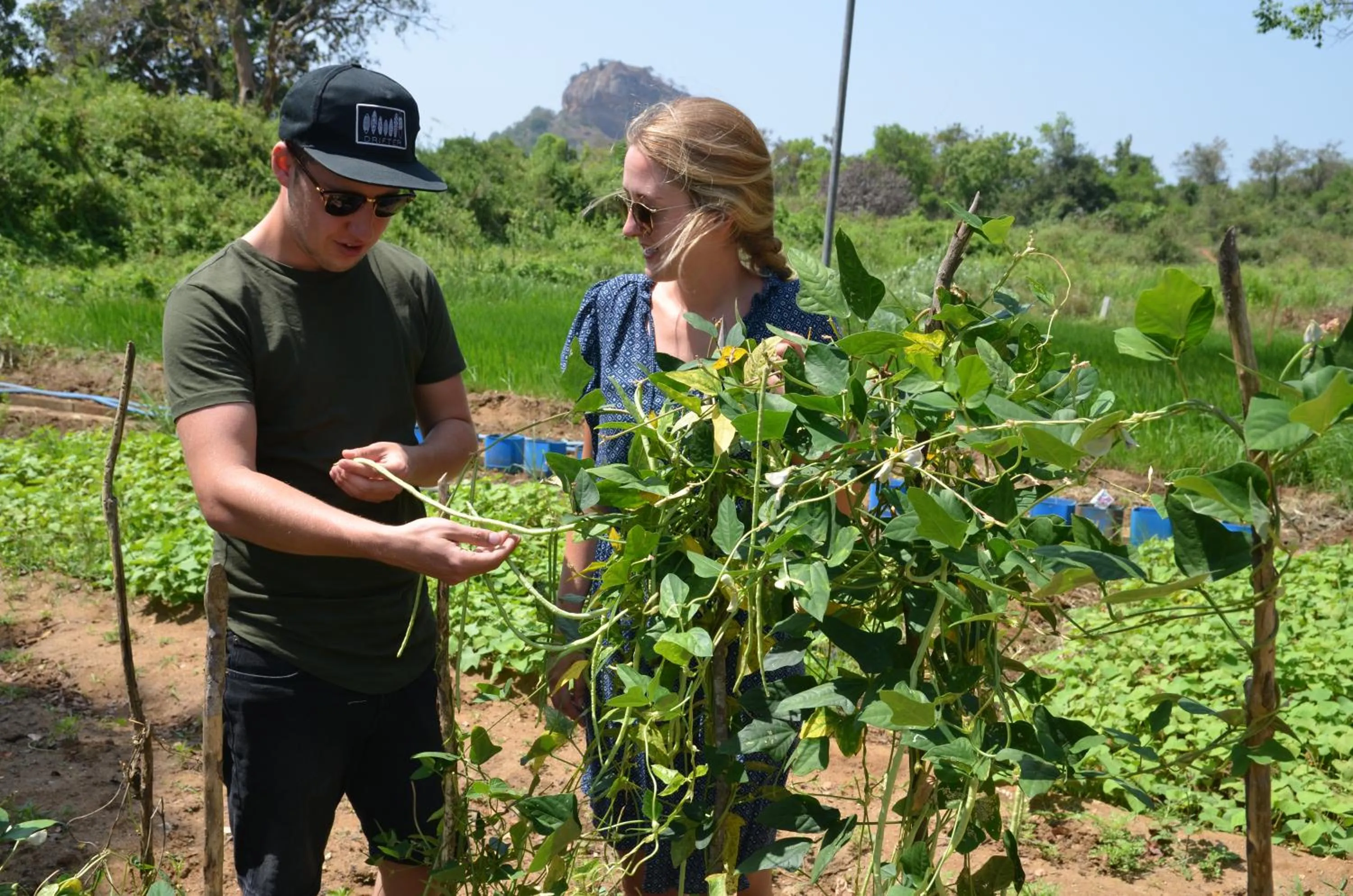 Restaurant/places to eat in Sigiriya King's Resort