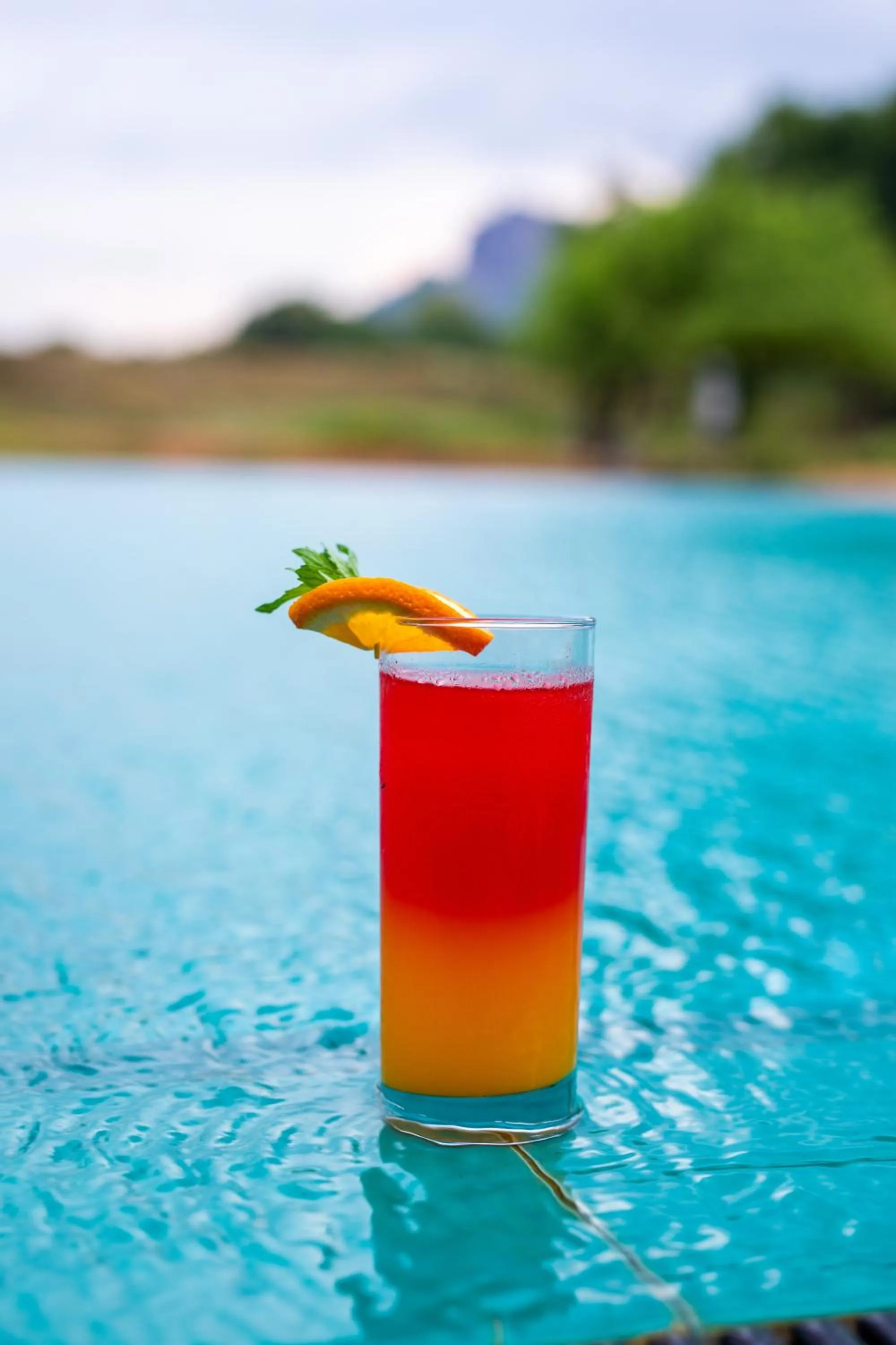 Sigiriya King's Resort