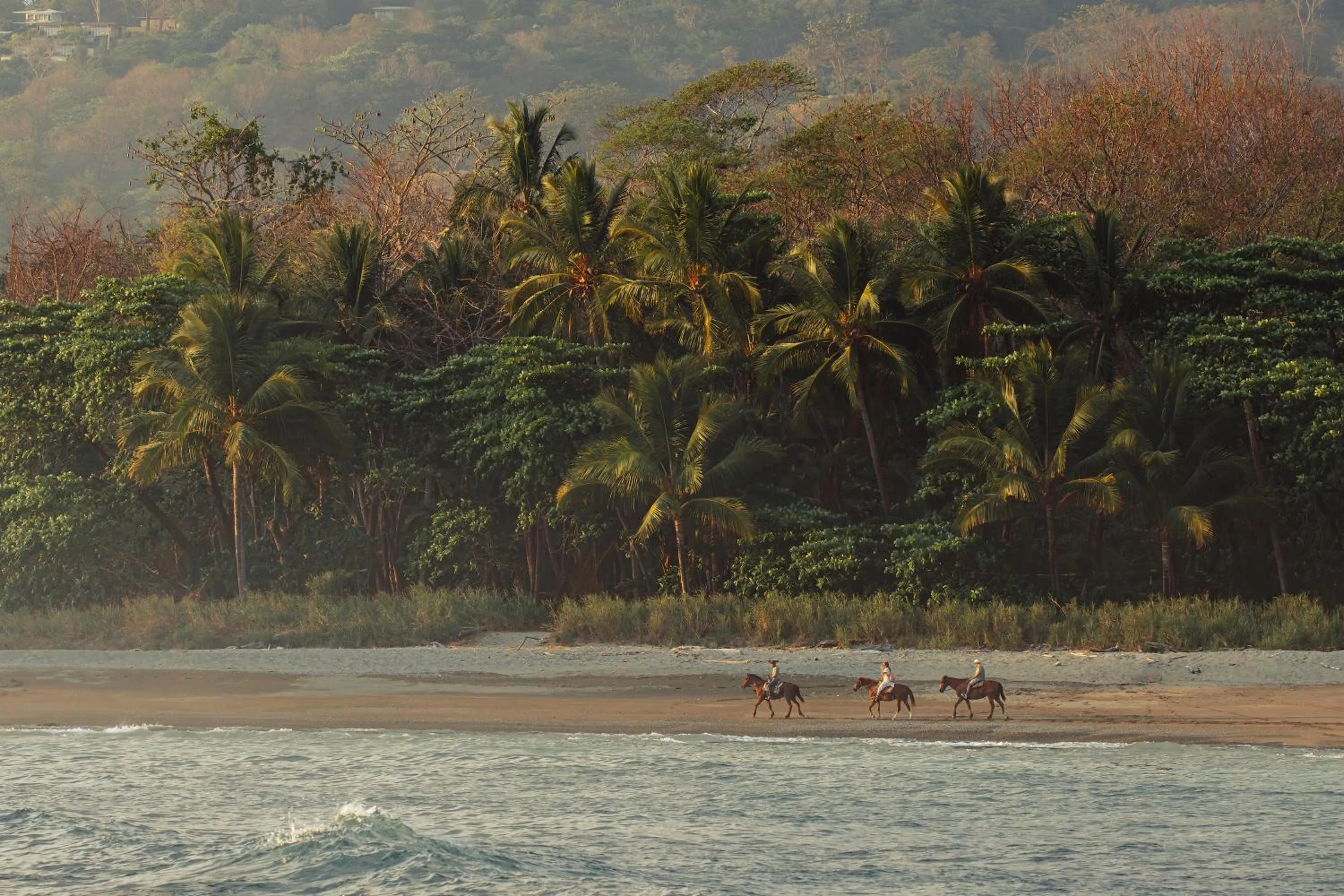 Day in Hotel Santa Teresa by the Beach