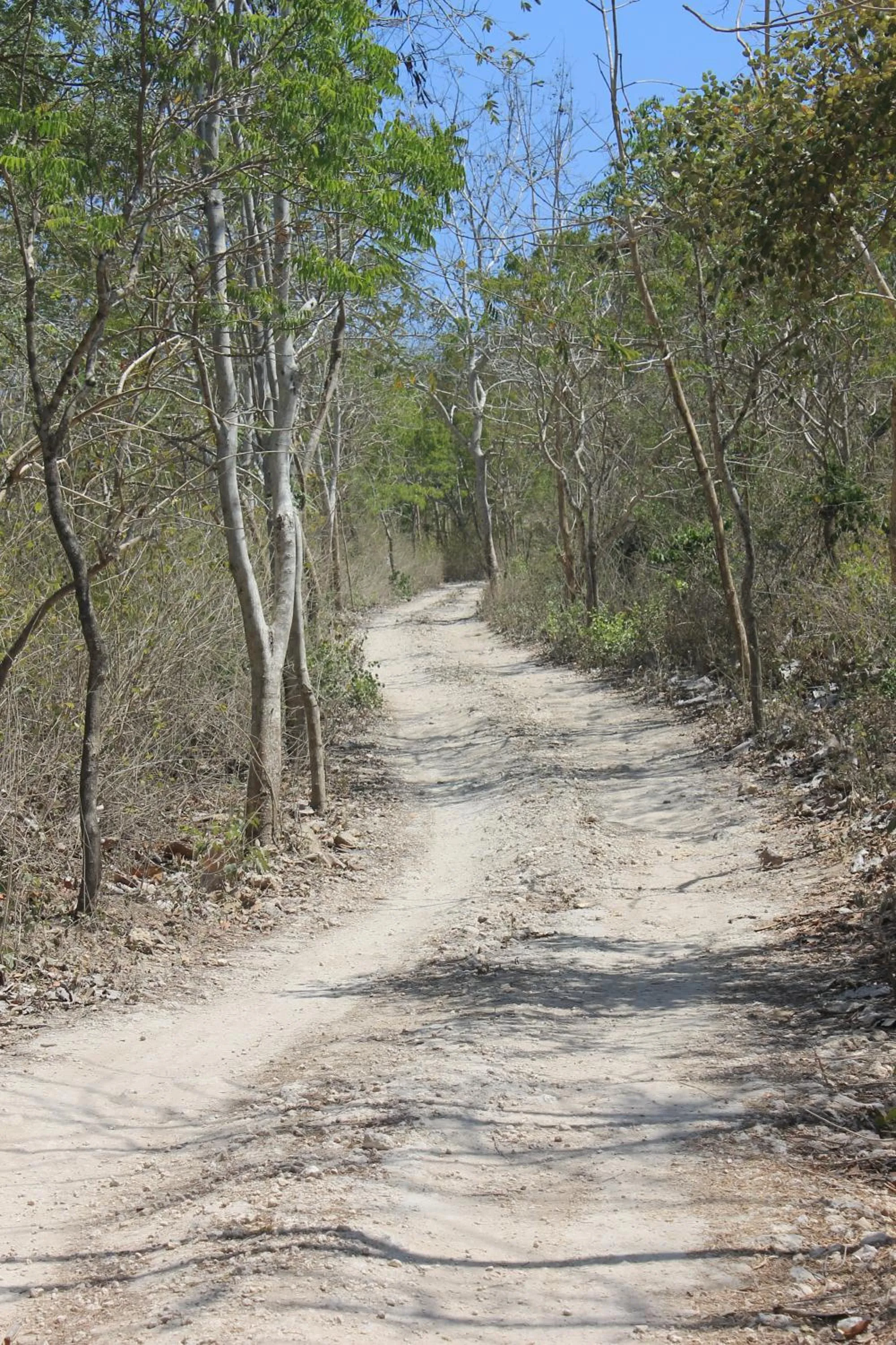Area and facilities in Jeeva Beloam Beach Camp