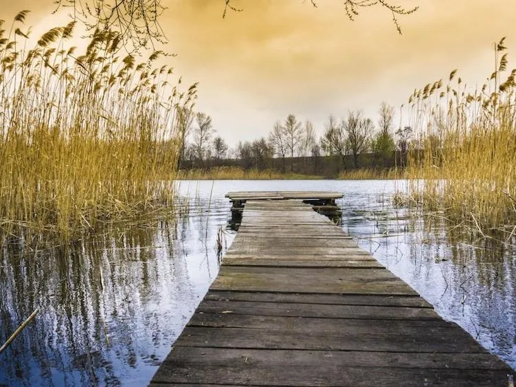 Activities in Kleines Strandhotel