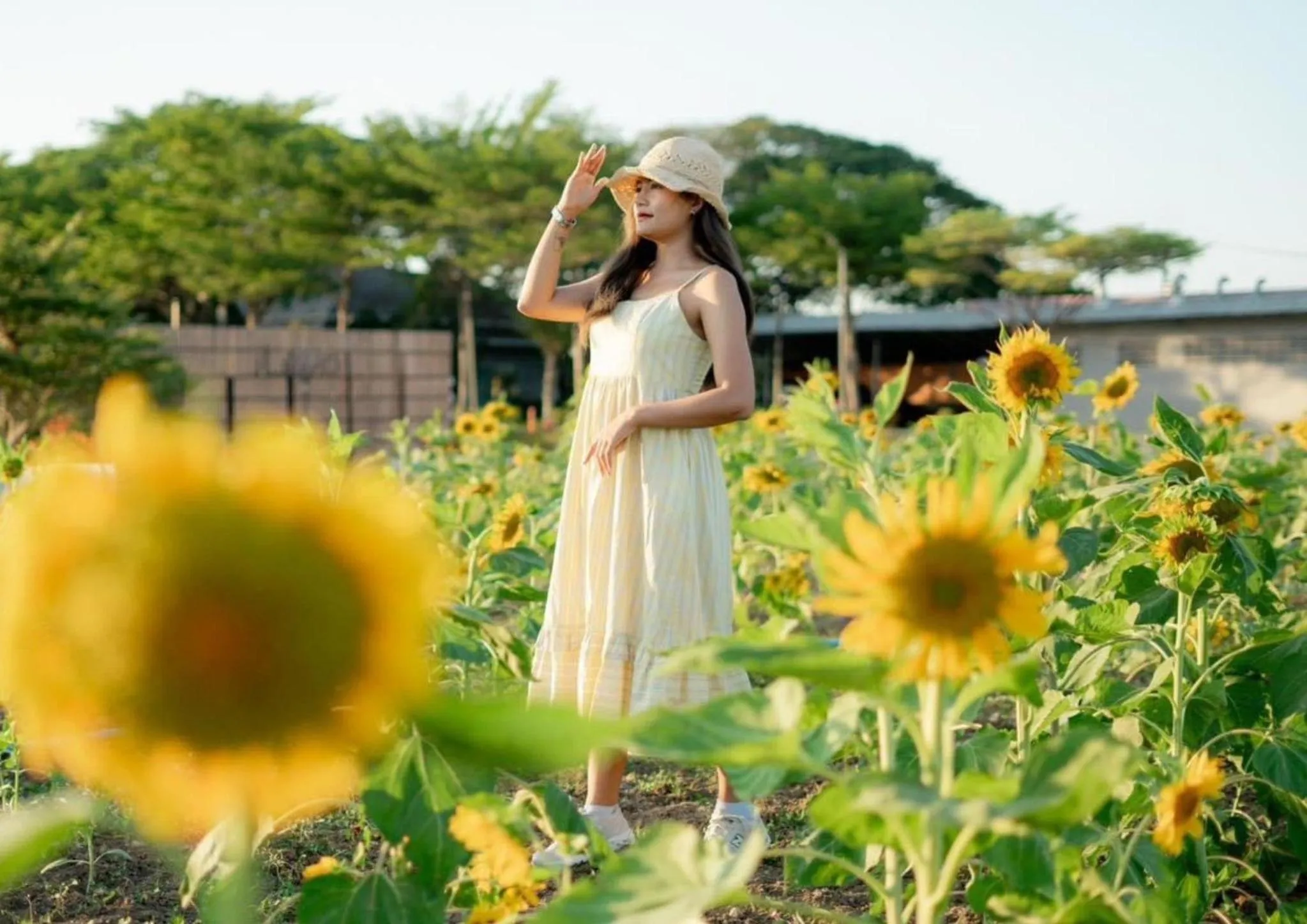 Spring in The Cavalli Casa Resort