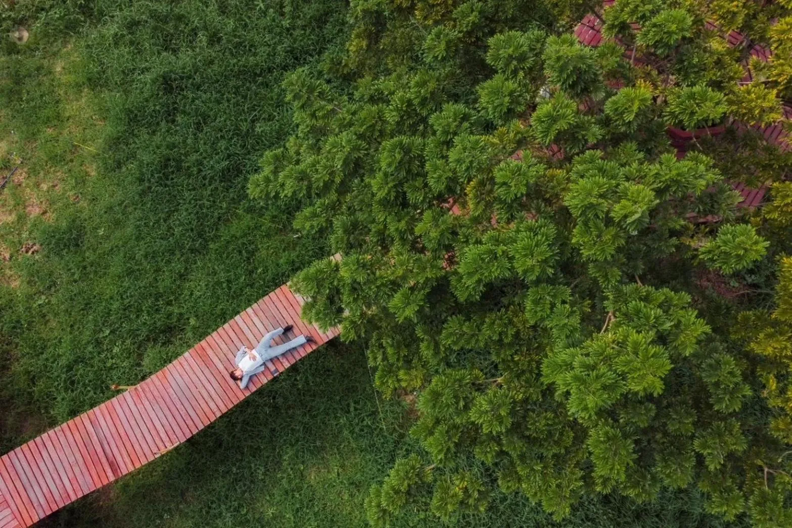 Bird's eye view in The Cavalli Casa Resort