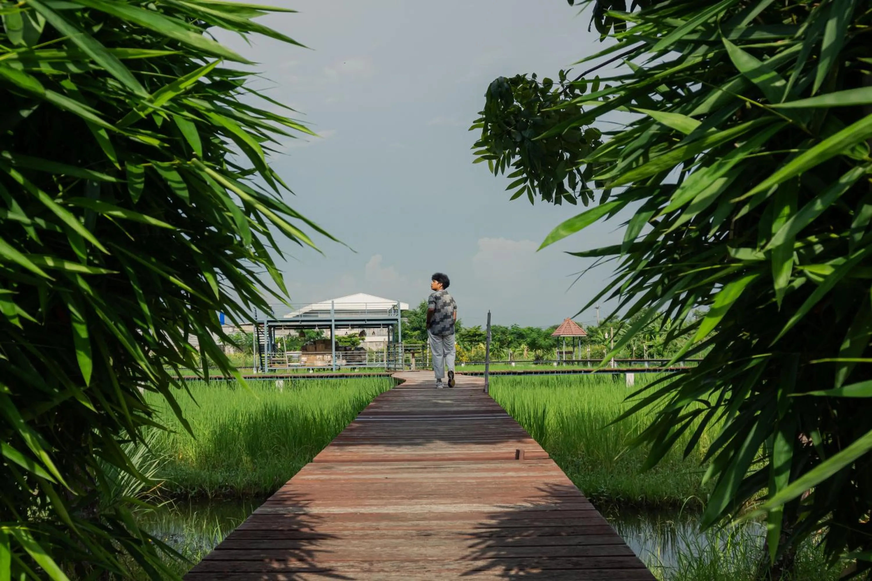 Spring in The Cavalli Casa Resort