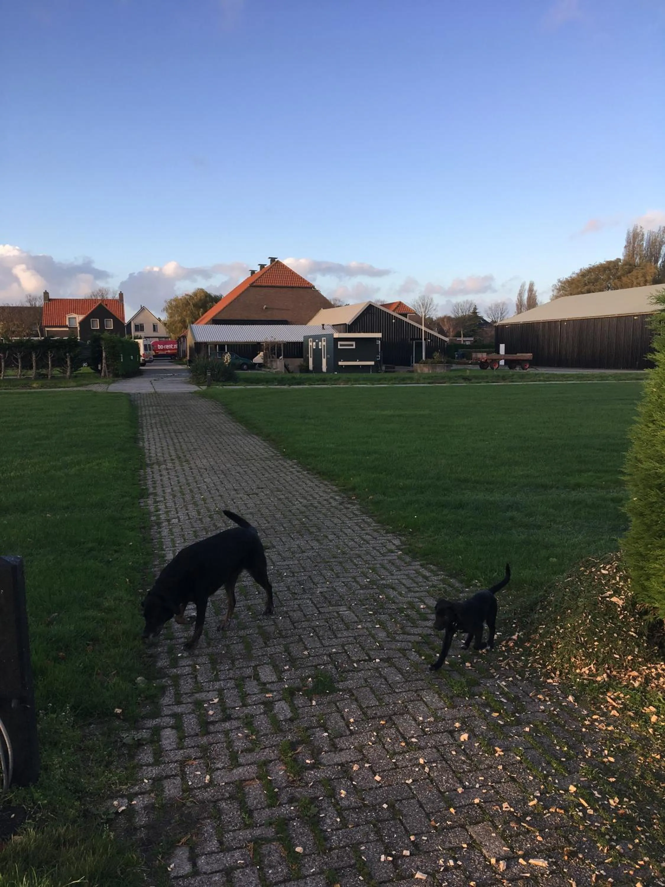 Animals in lodge 61 hotel aan het water