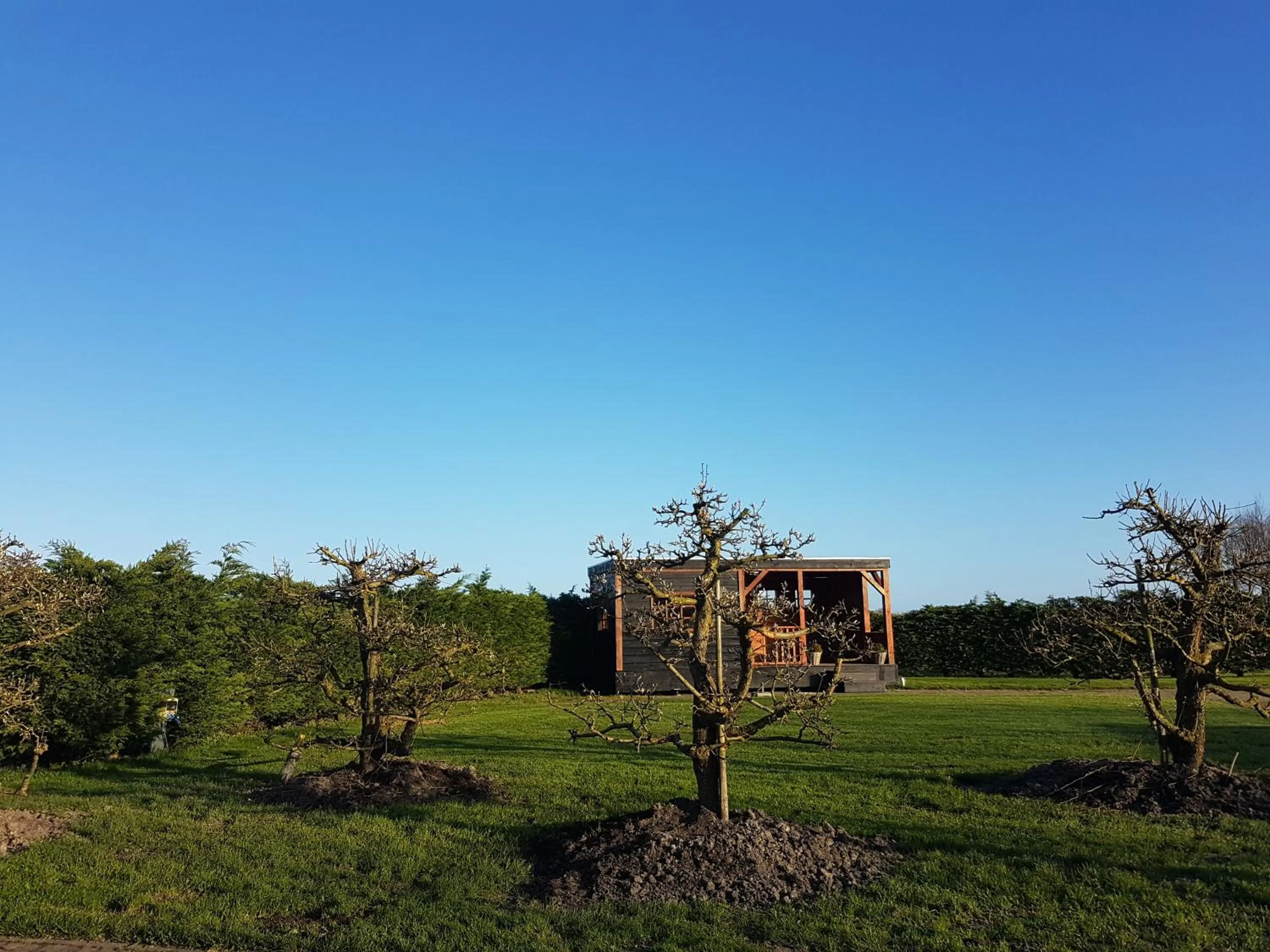 Garden in lodge 61 hotel aan het water