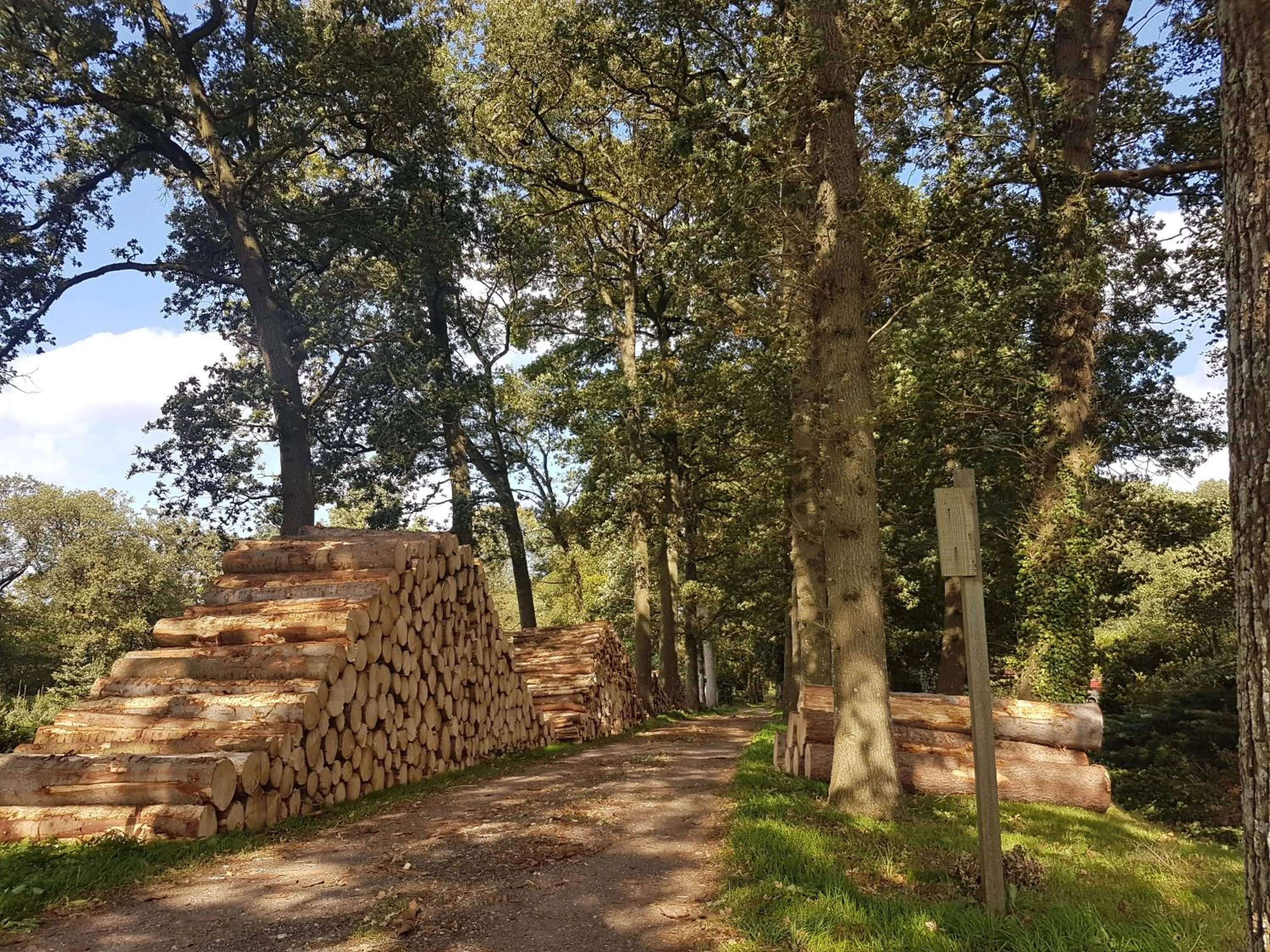 Natural landscape in lodge 61 hotel aan het water