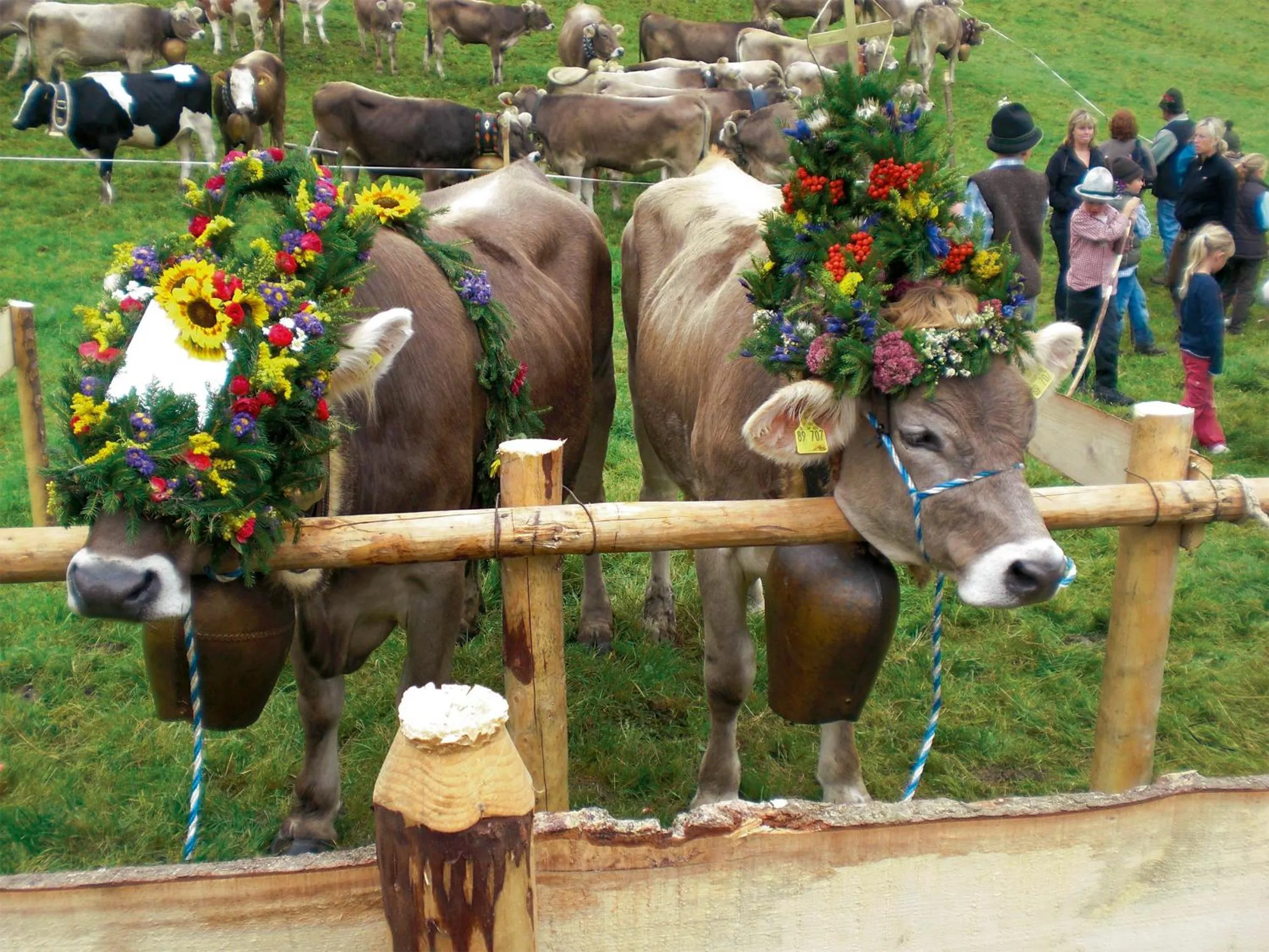 Day in Seehotel und Appartements Schnöller