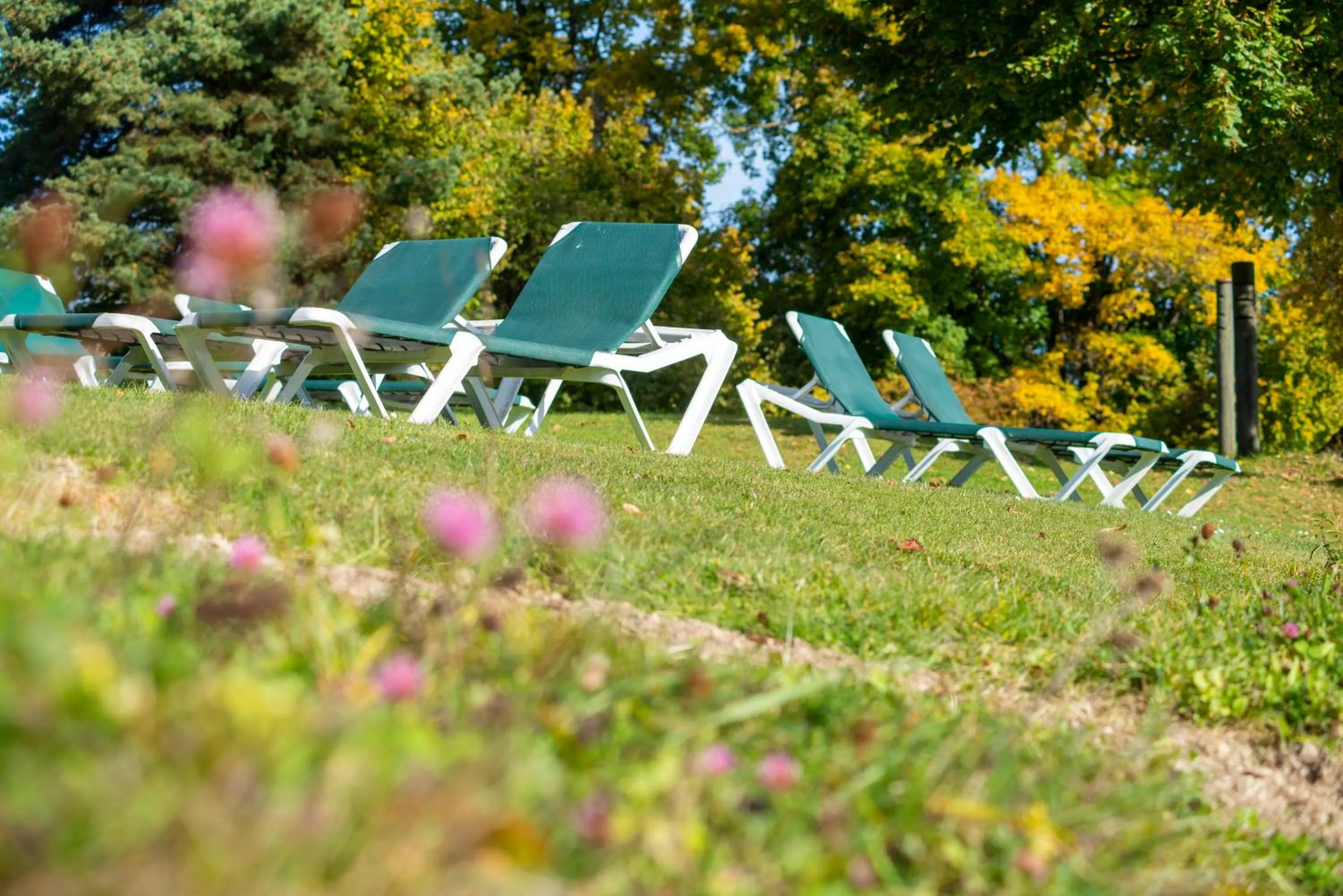 Garden in Seehotel und Appartements Schnöller