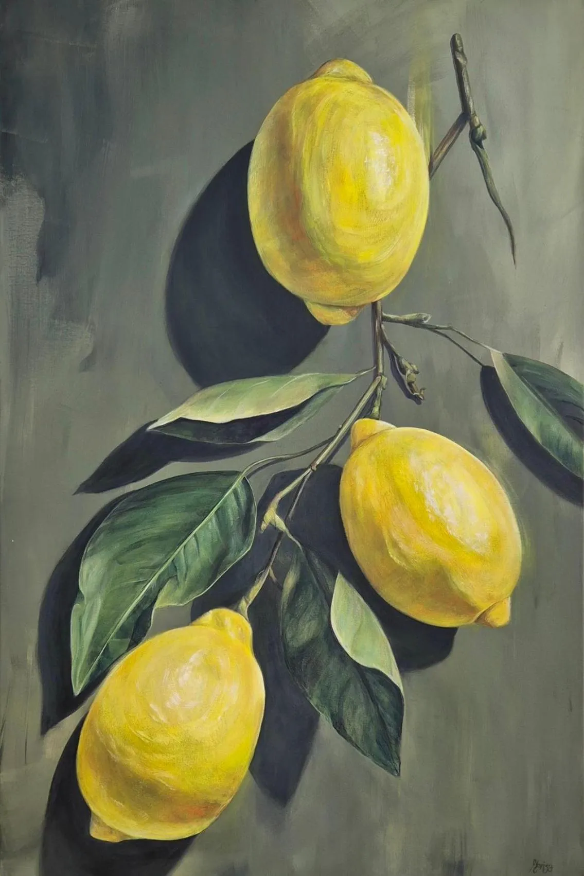 Photo of the whole room in AL BOCCALINO Bed & Breakfast Melide Lugano Ticino