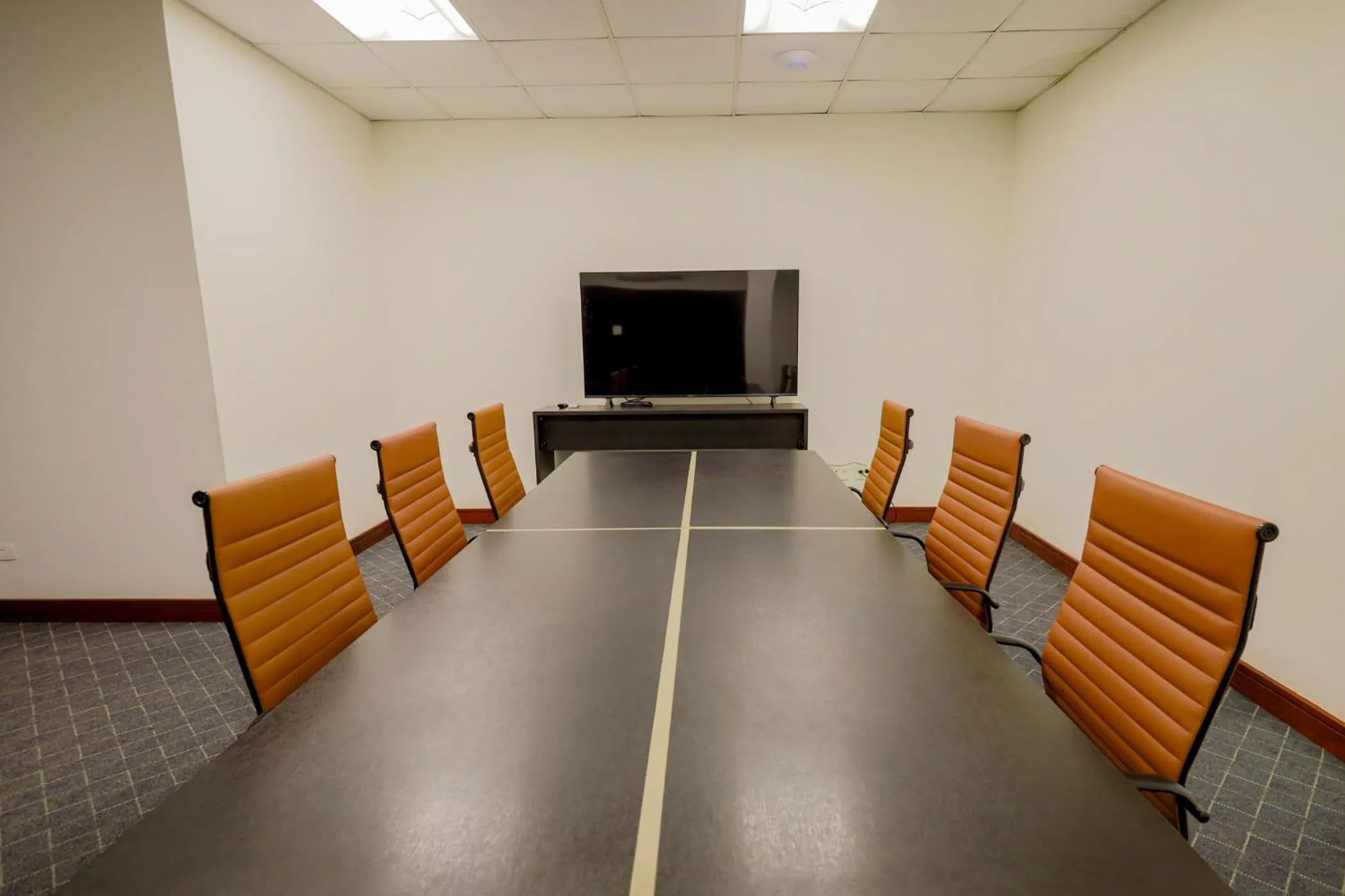 TV and multimedia in Antonio´s Palace Hotel