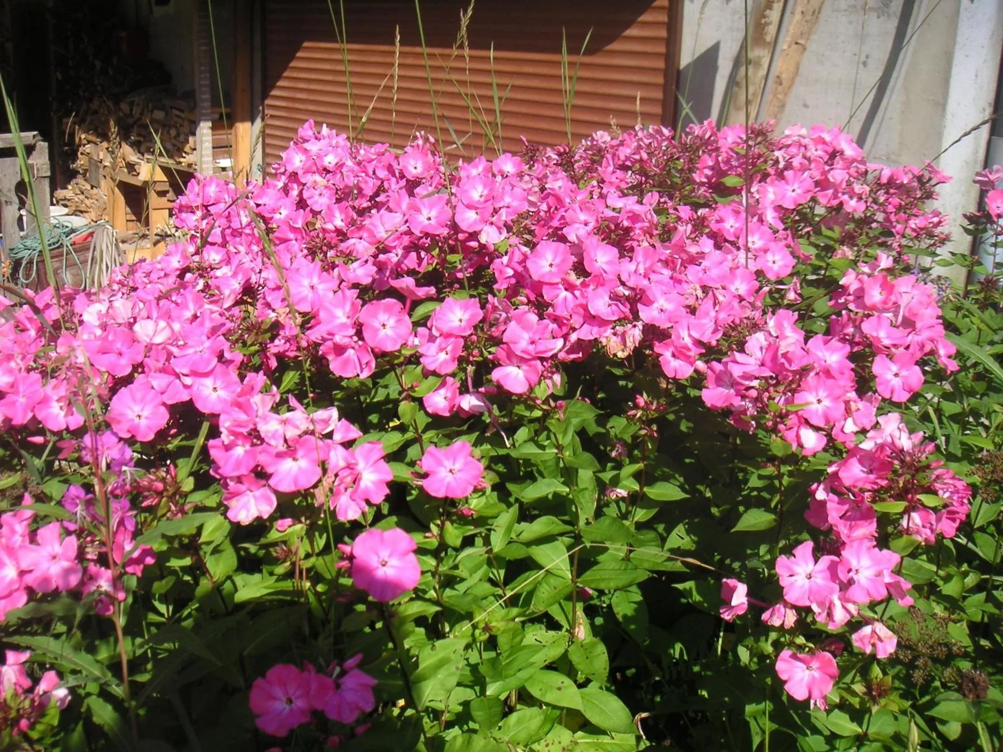 Facade/entrance in Apart'hotel & Spa "La Destière"