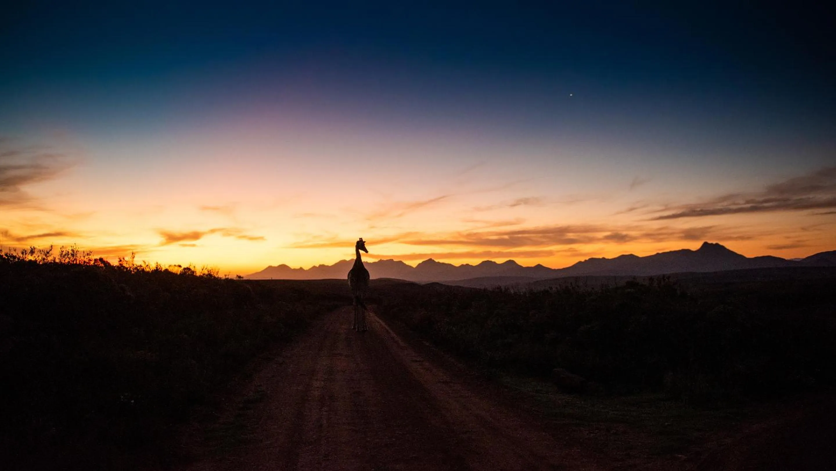 Activities in Gondwana Game Reserve