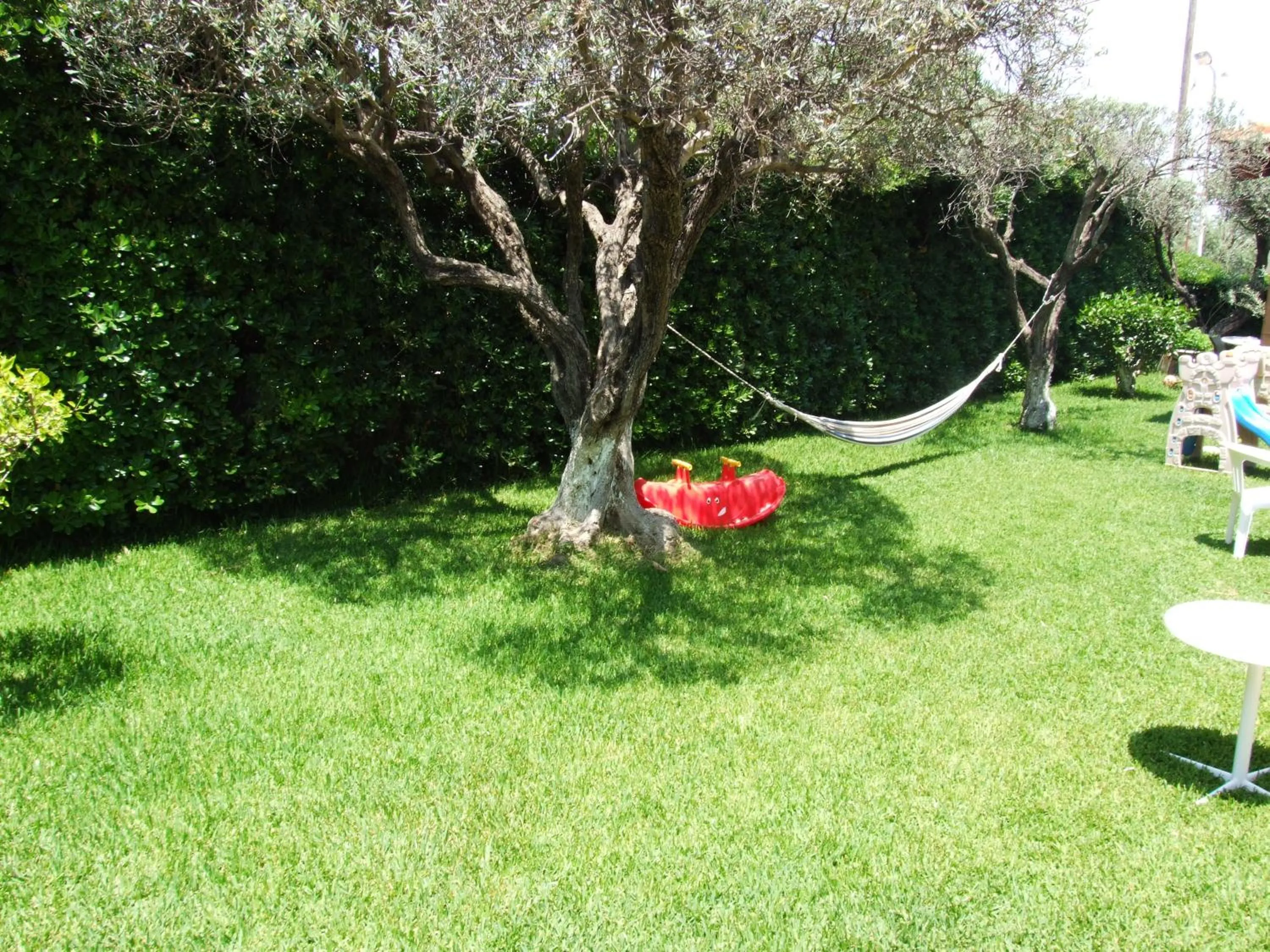 Garden in Sokrates Studios