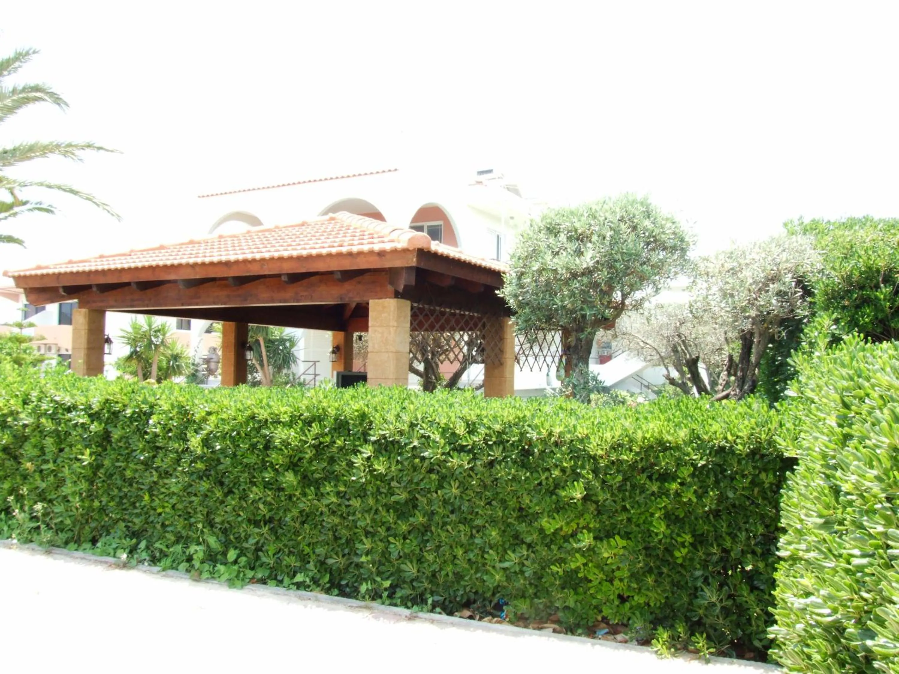 Day in Sokrates Studios