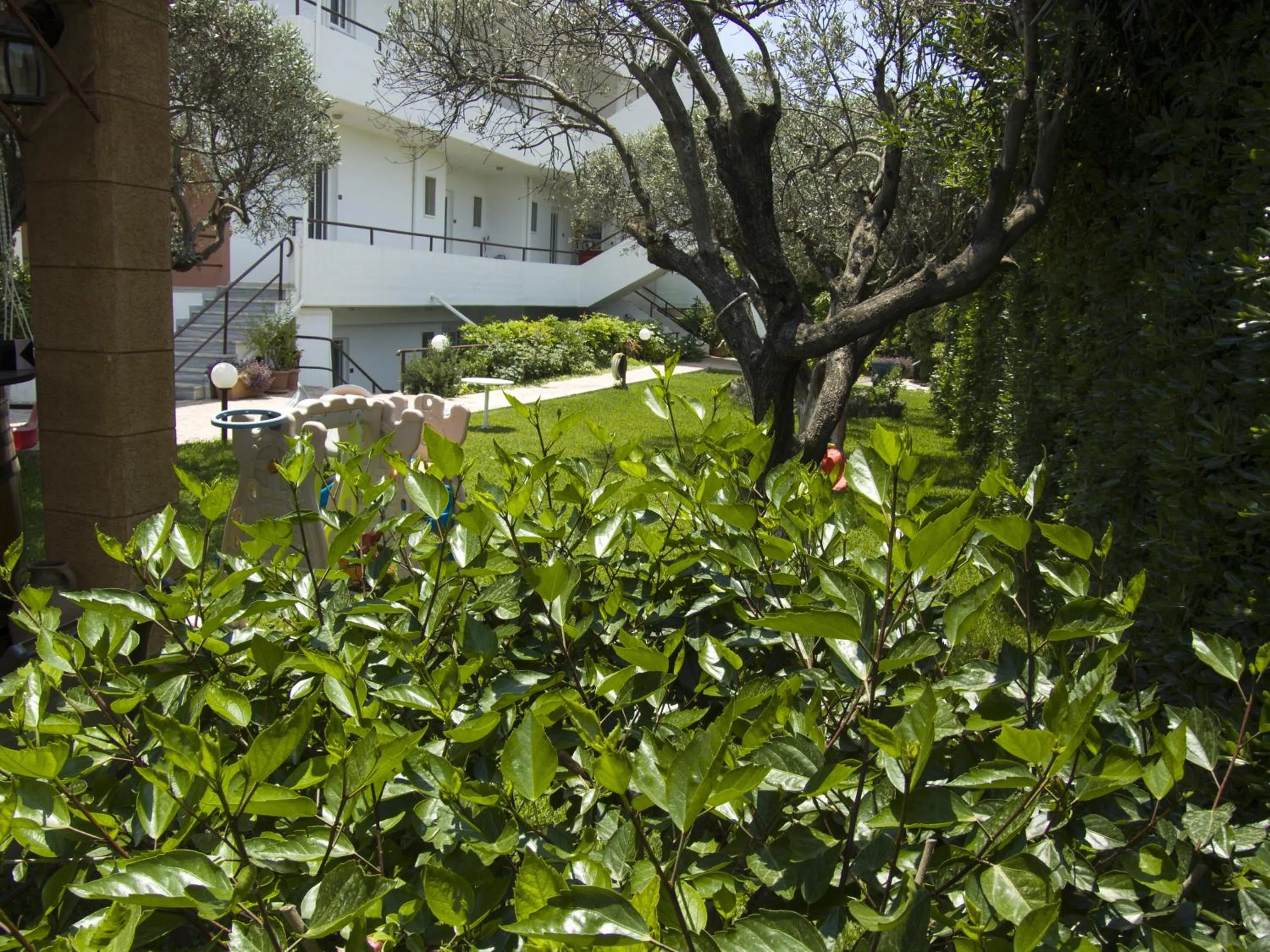 Decorative detail in Sokrates Studios