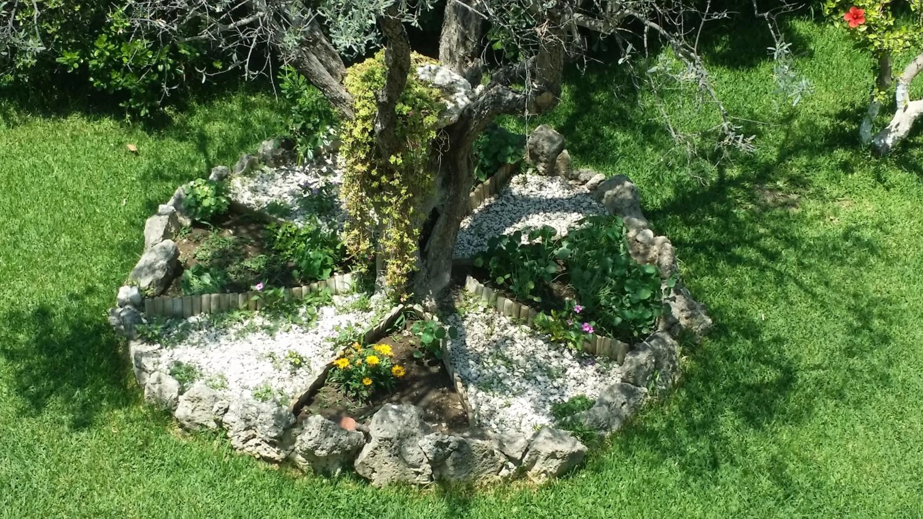 Day in Sokrates Studios