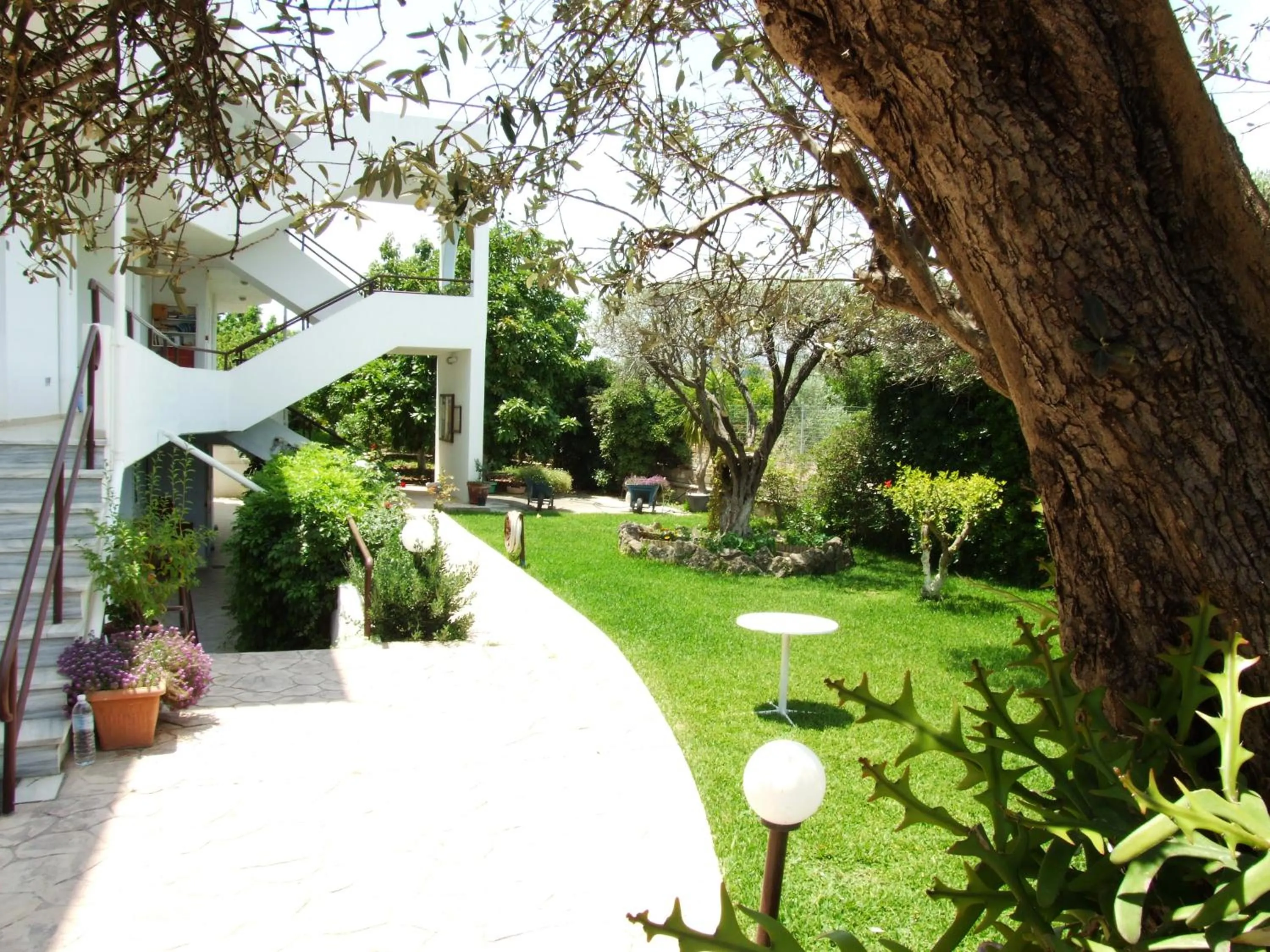 Garden in Sokrates Studios