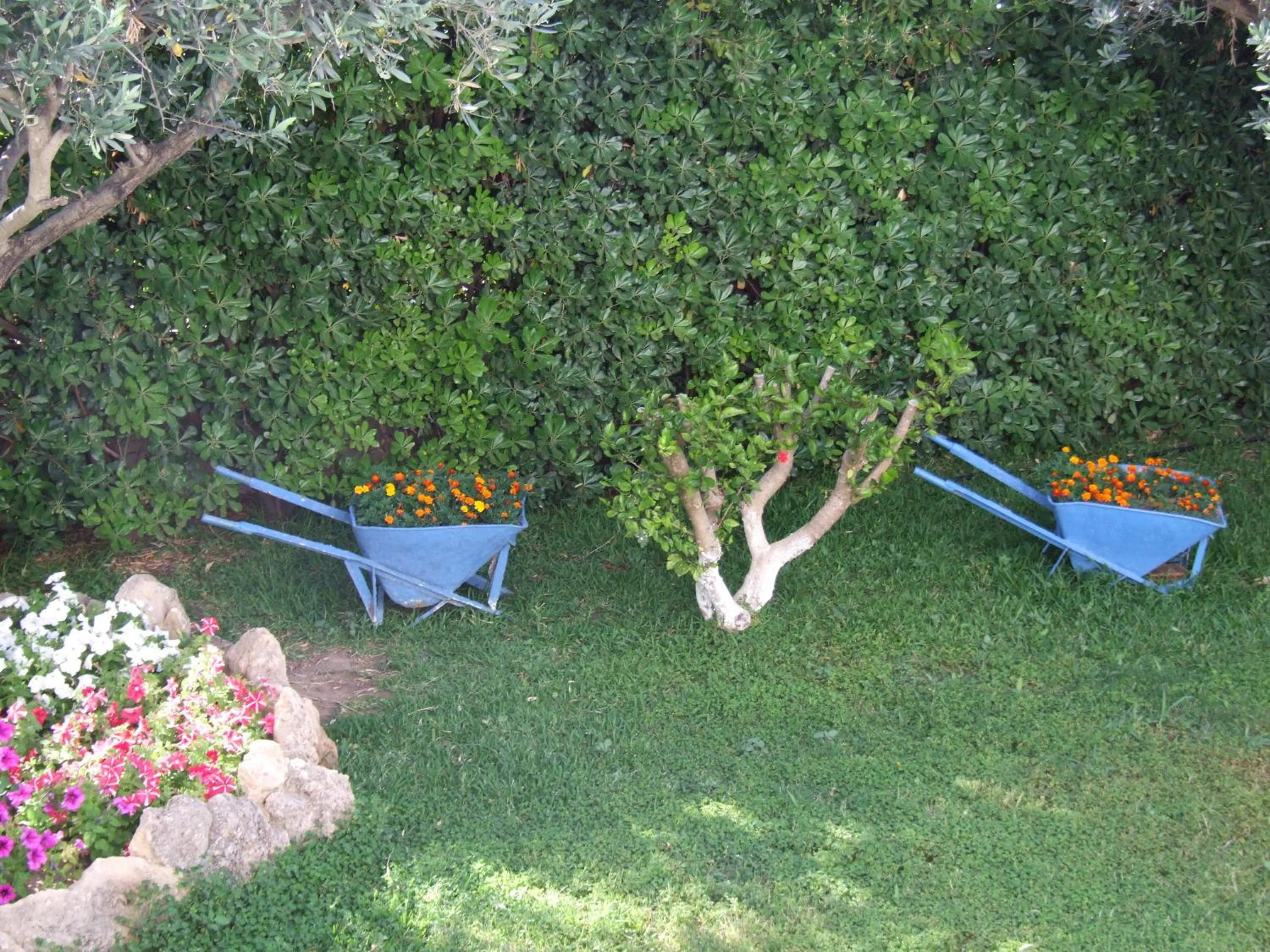 Day in Sokrates Studios