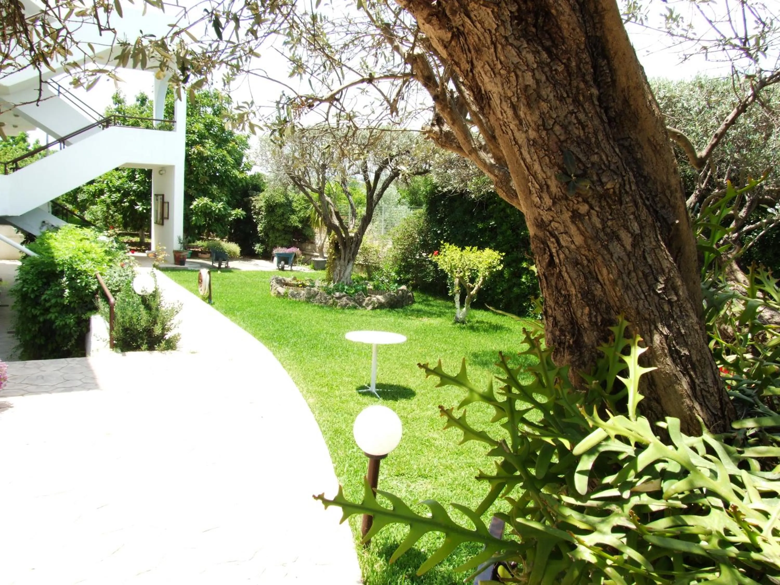 Day in Sokrates Studios