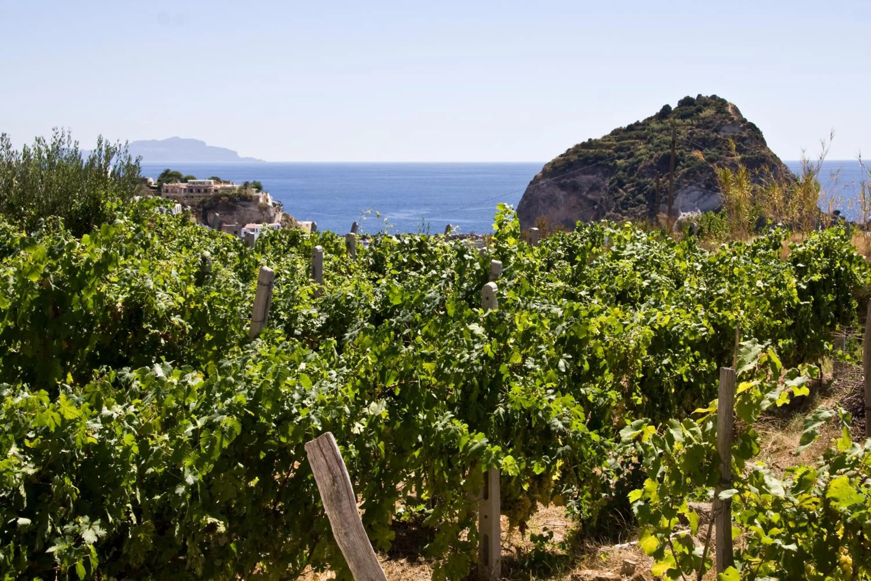 Landmark view in Albergo Villa Mario