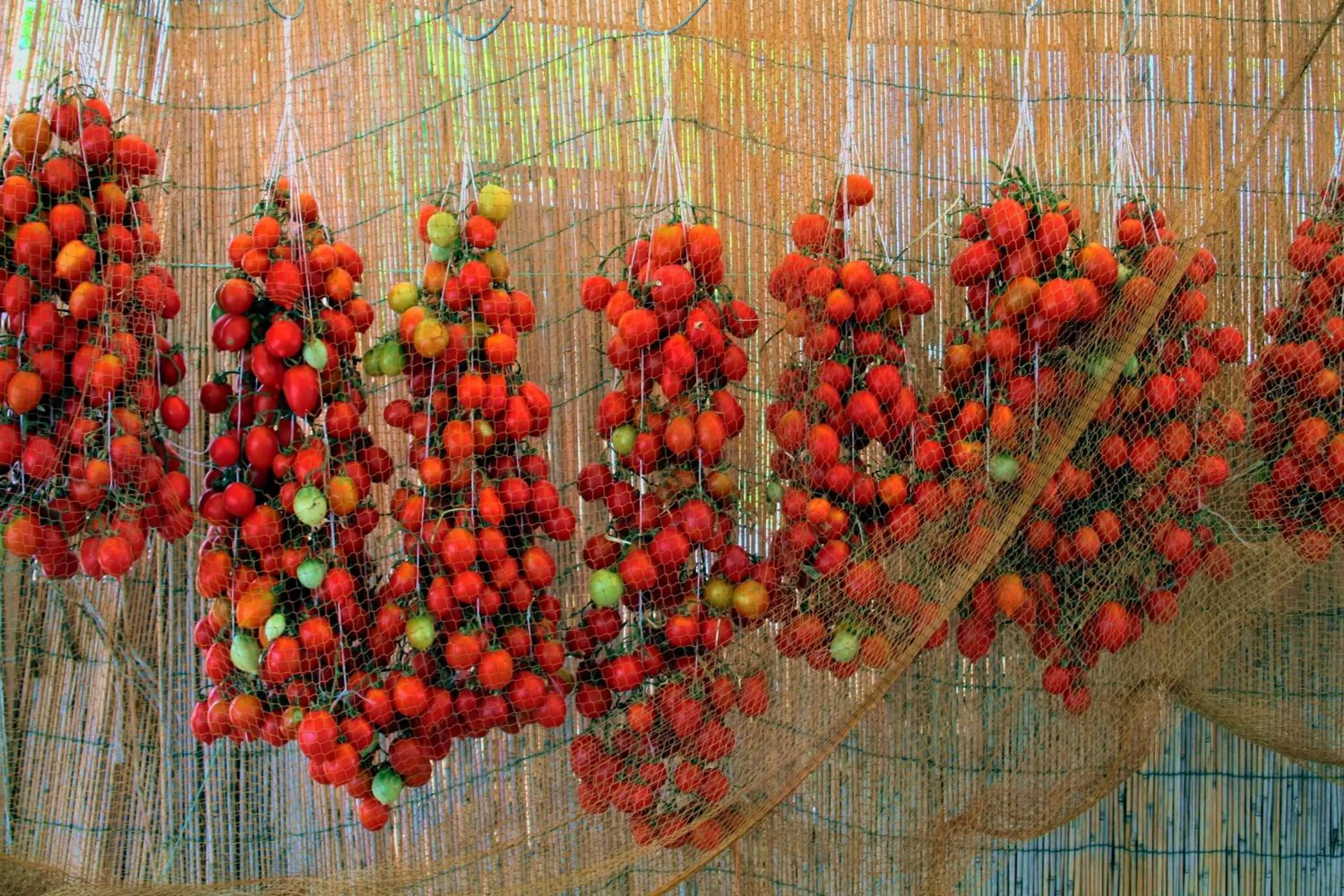 Food close-up in Albergo Villa Mario