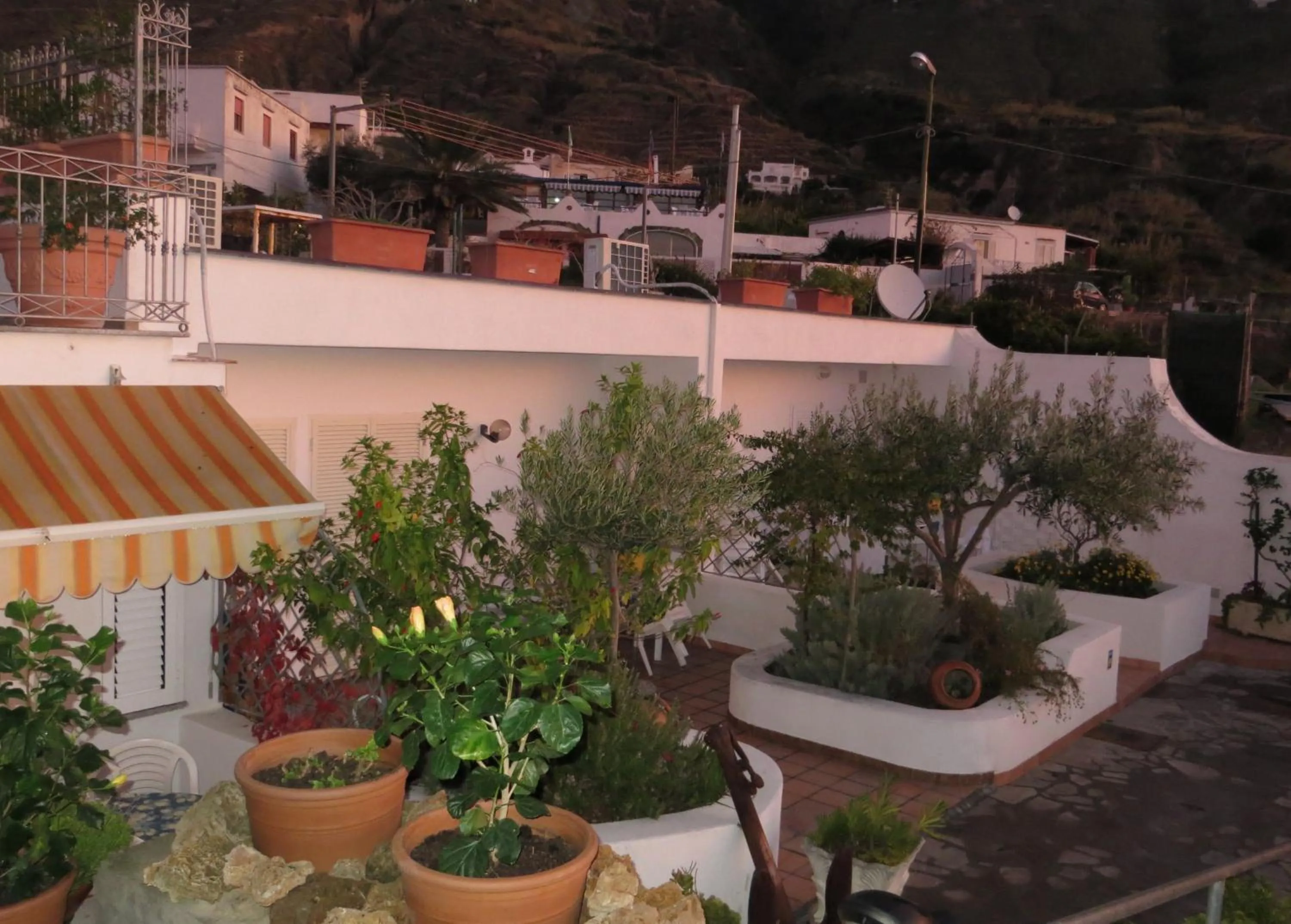 Garden in Albergo Villa Mario