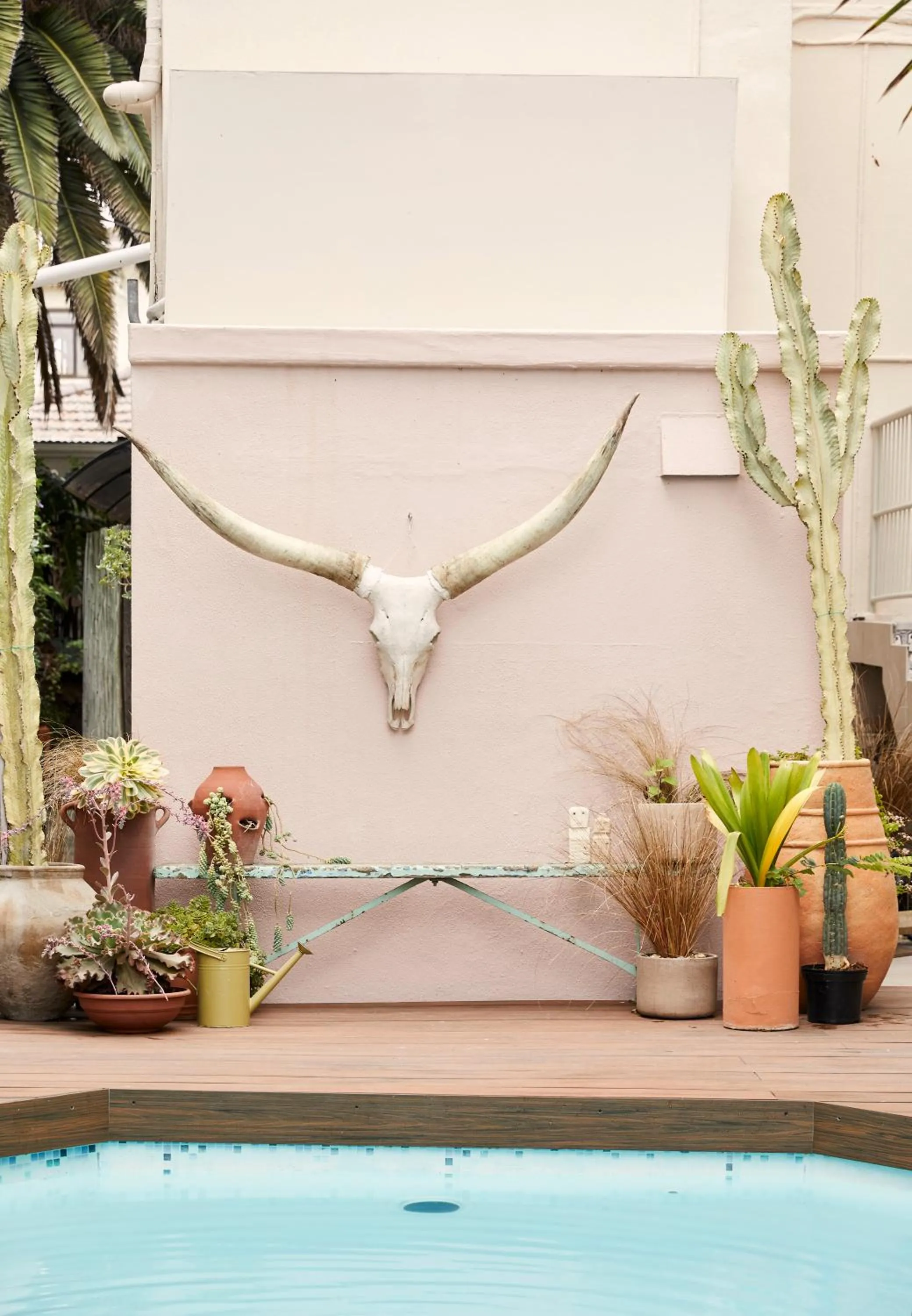 Swimming pool in THE BIG - Luxury Backpackers