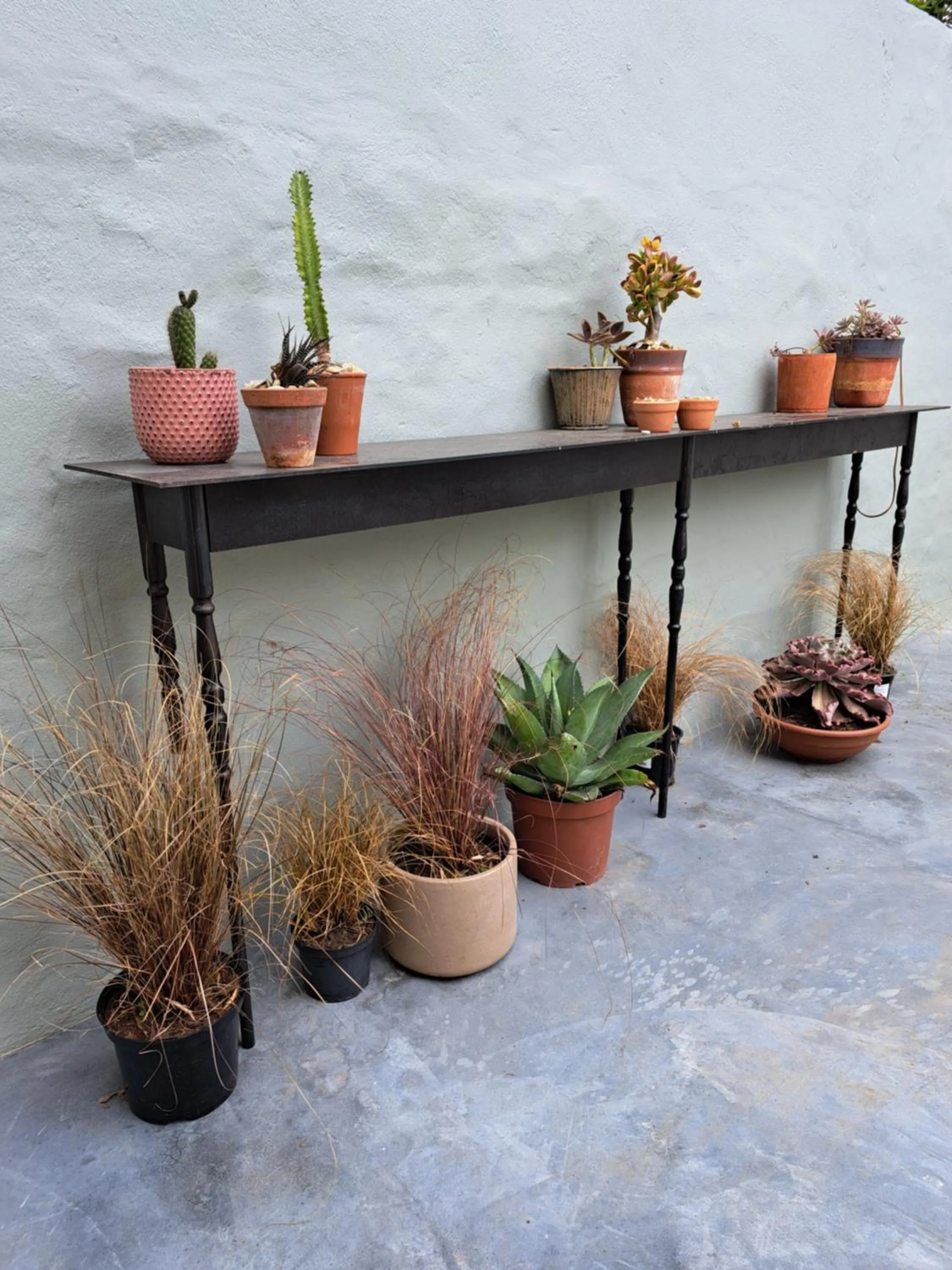 Garden in THE BIG - Luxury Backpackers