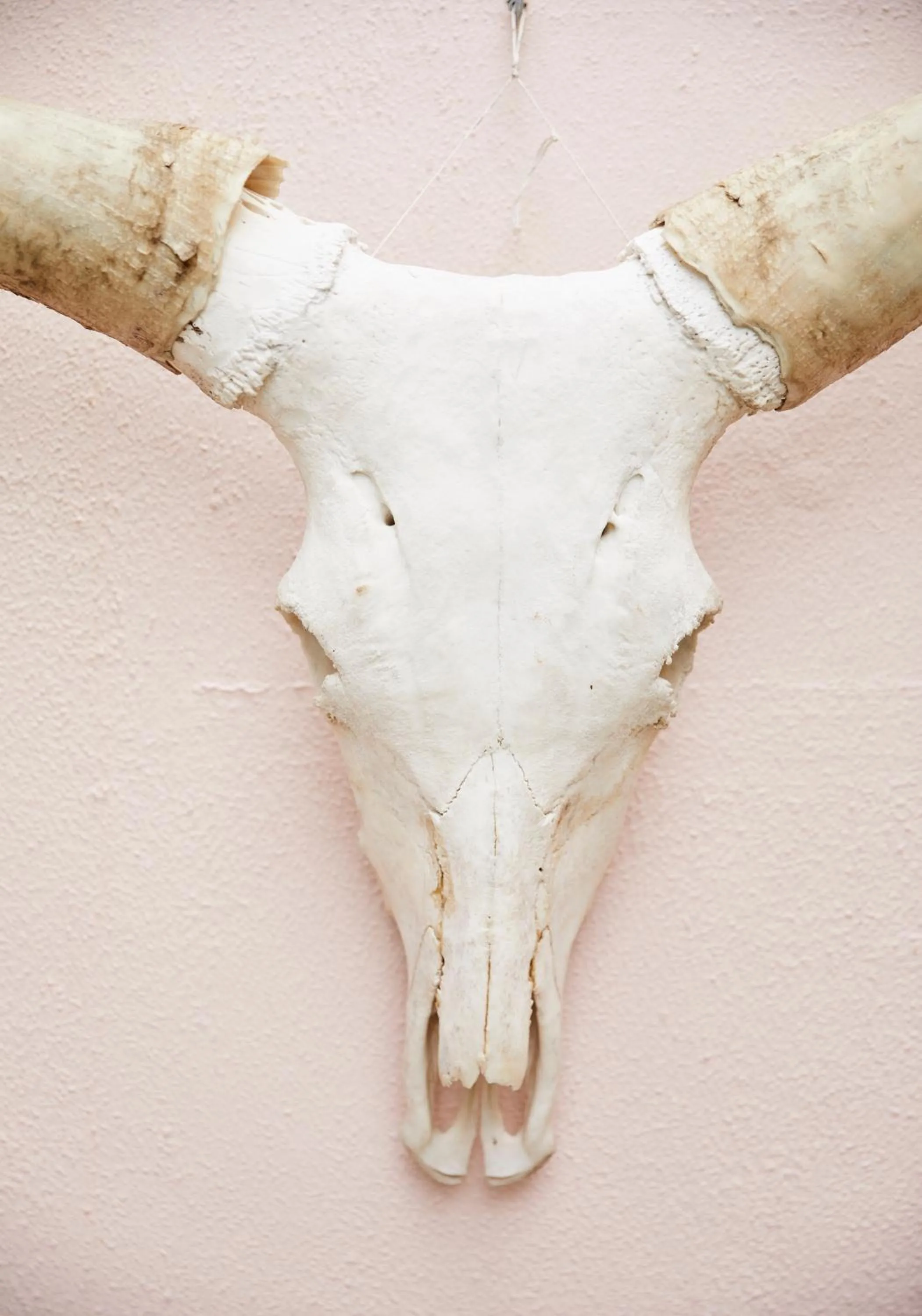 Decorative detail in THE BIG - Luxury Backpackers