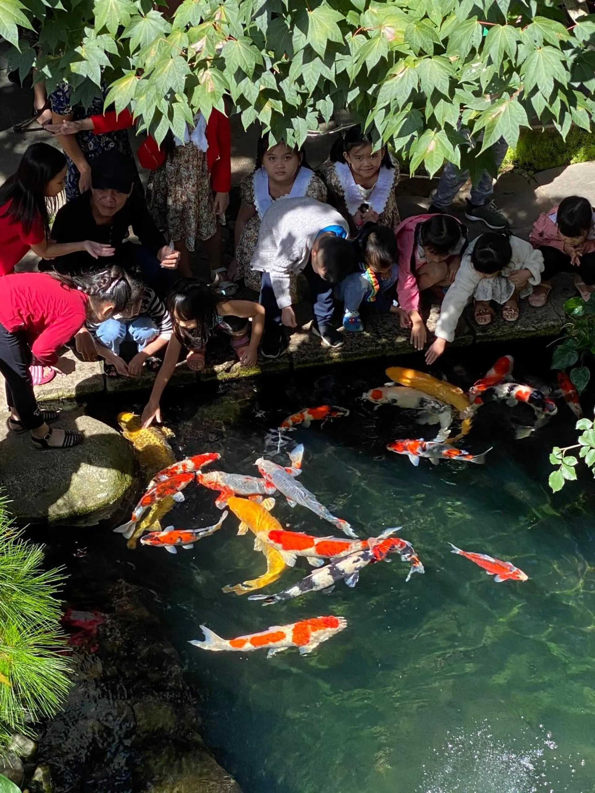 Property building in ROY VILLA COFFEE