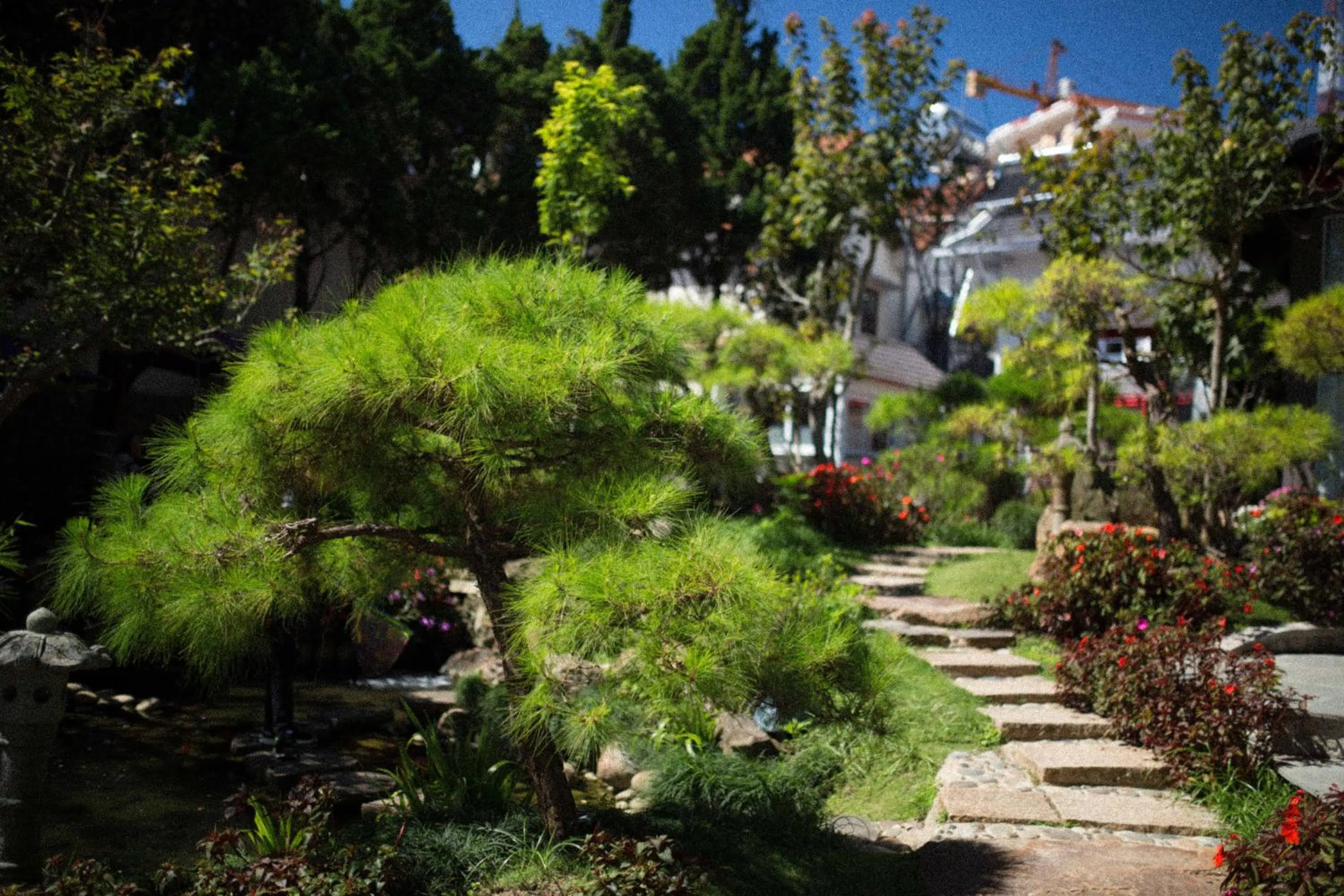 Garden in ROY VILLA COFFEE