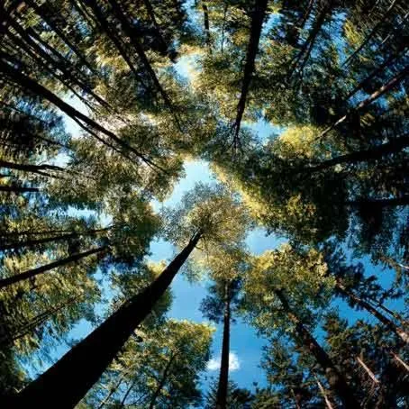 Day in Hotel Casa de la Oma