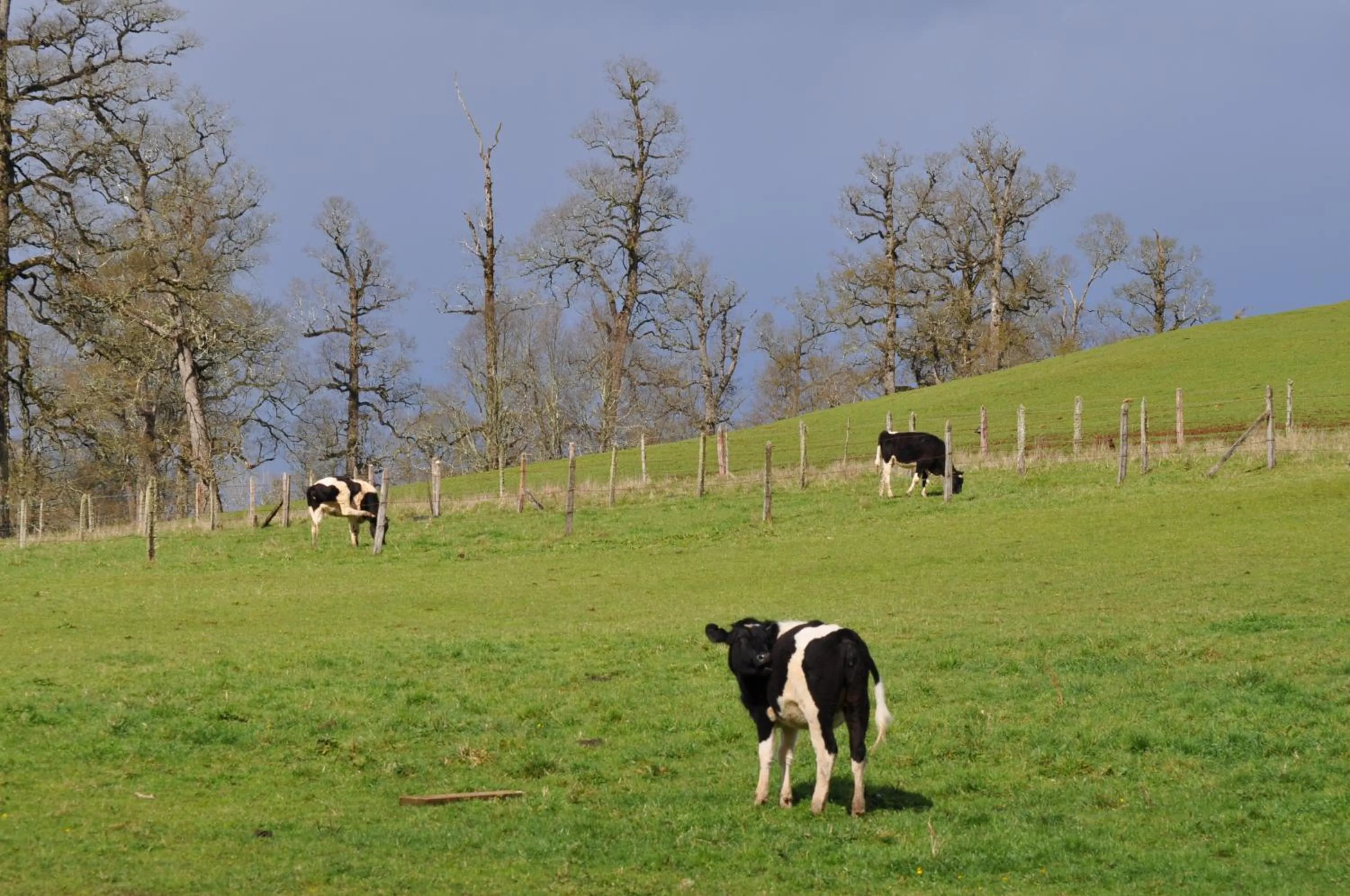 Day in Hotel Casa de la Oma