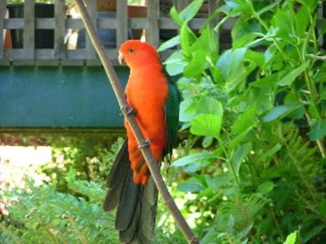Alpine Riverside Cottages