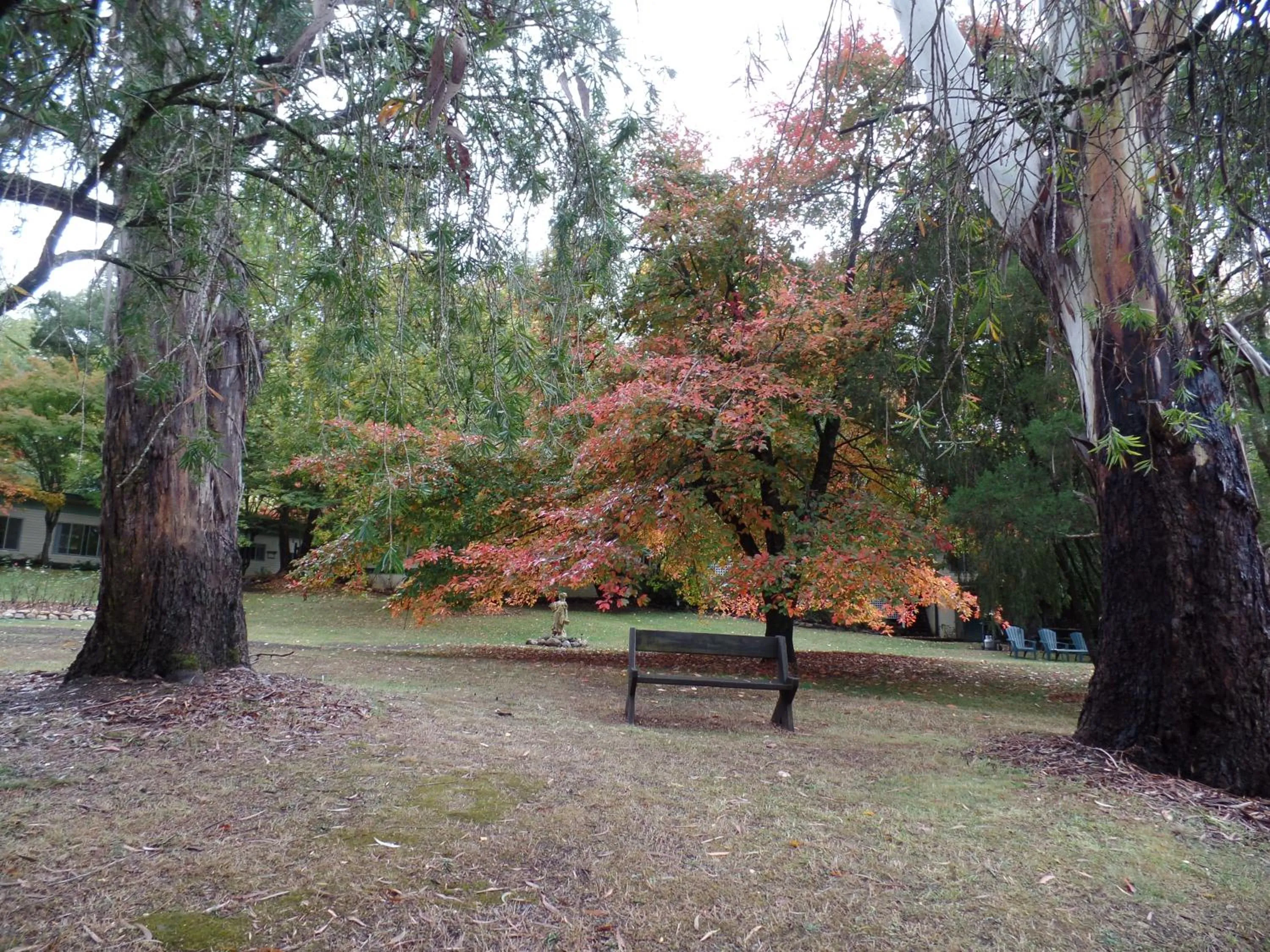 Property building in Alpine Riverside Cottages