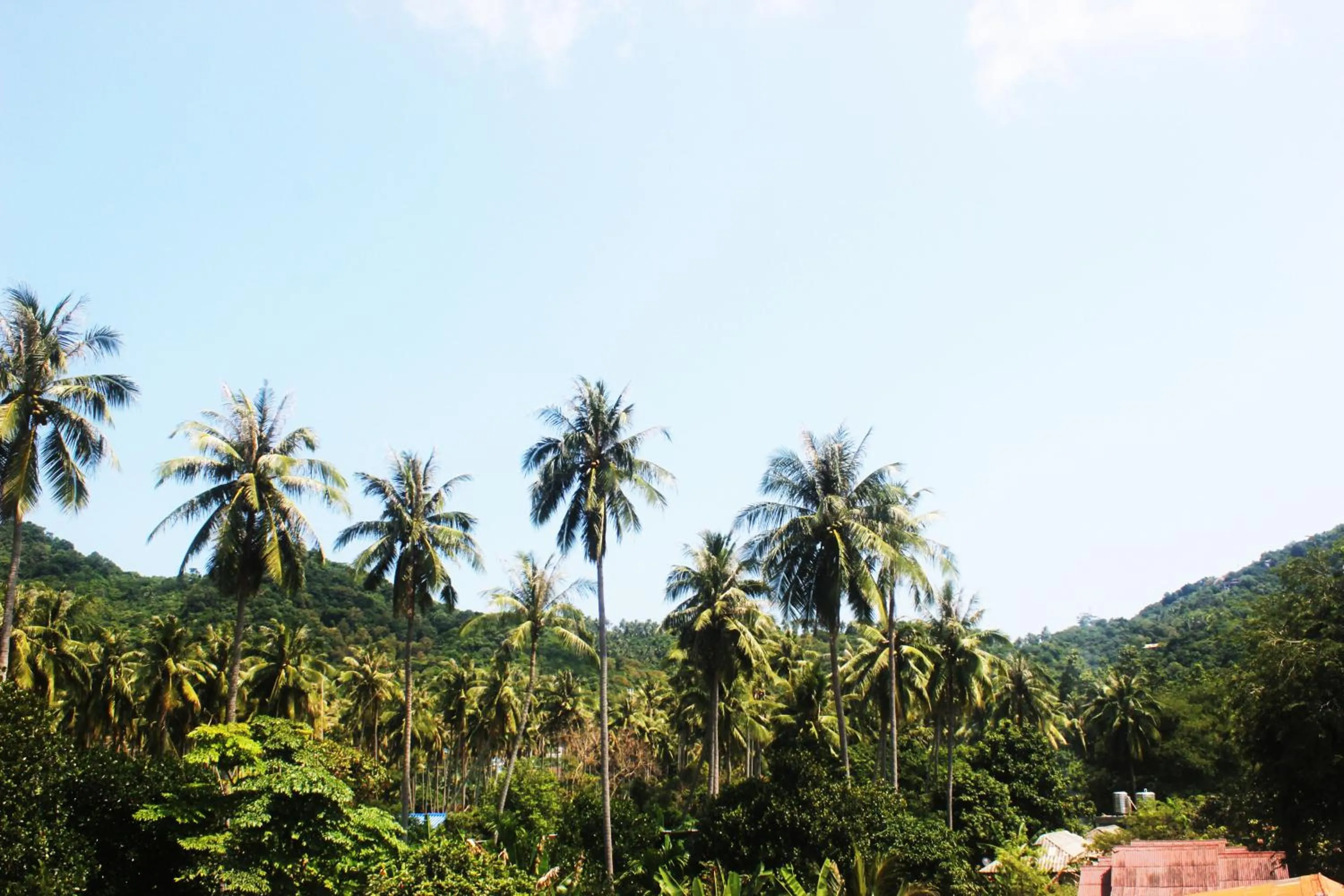 City view in The Stamp Hotel